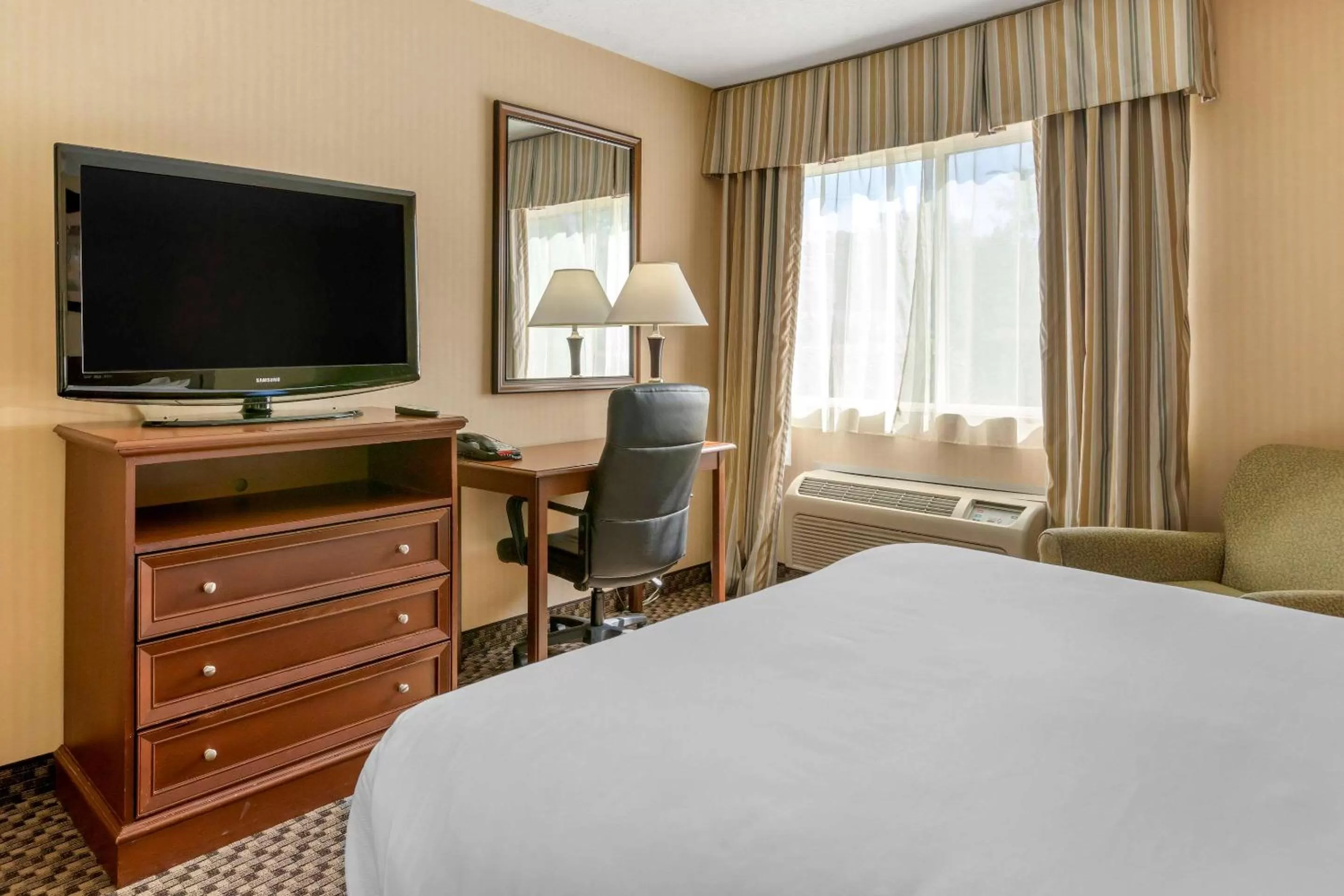 Queen Room with Roll-In Shower - Accessible/Non-Smoking in Comfort Inn Traverse City