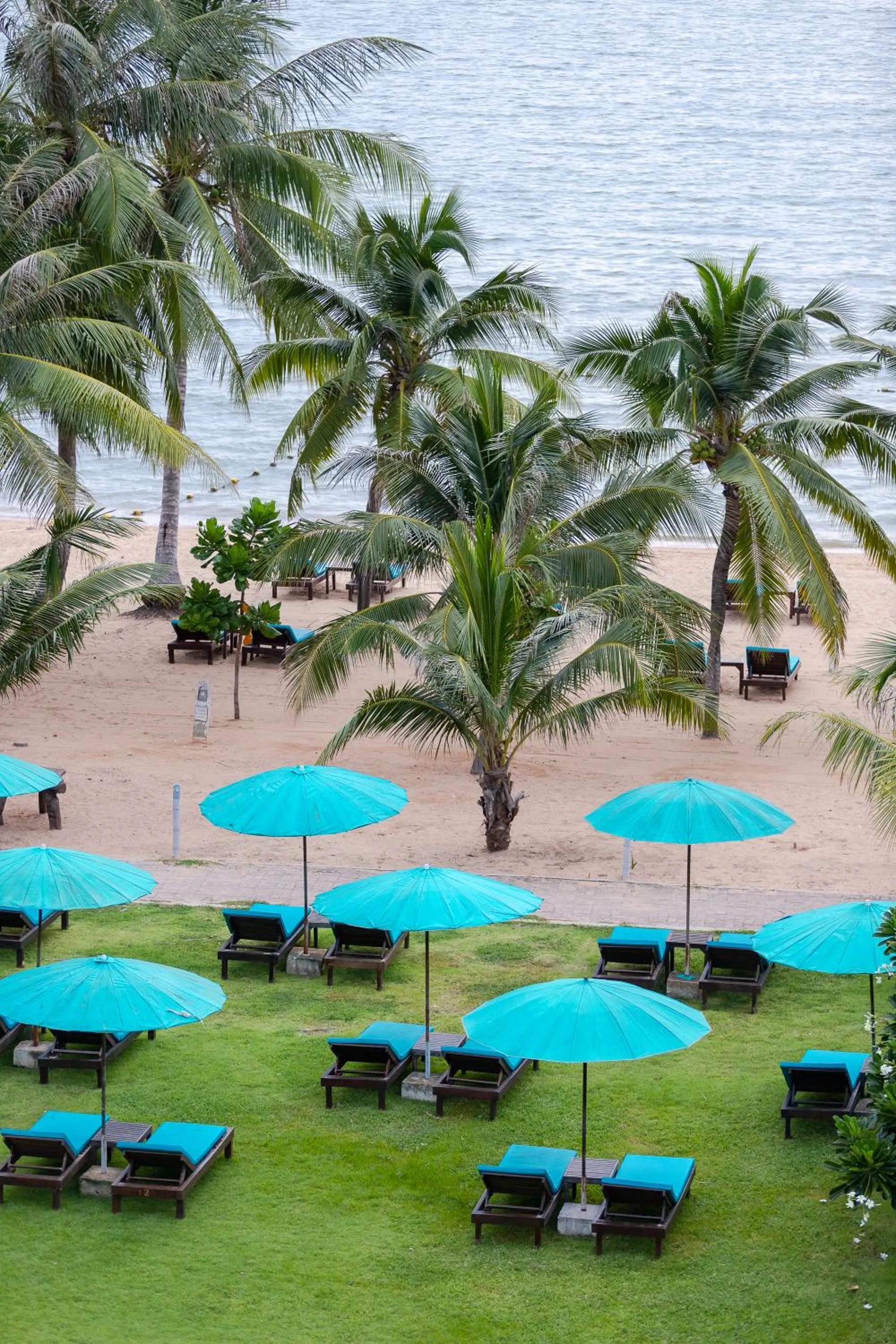 Garden in Pinnacle Grand Jomtien Resort and Beach Club