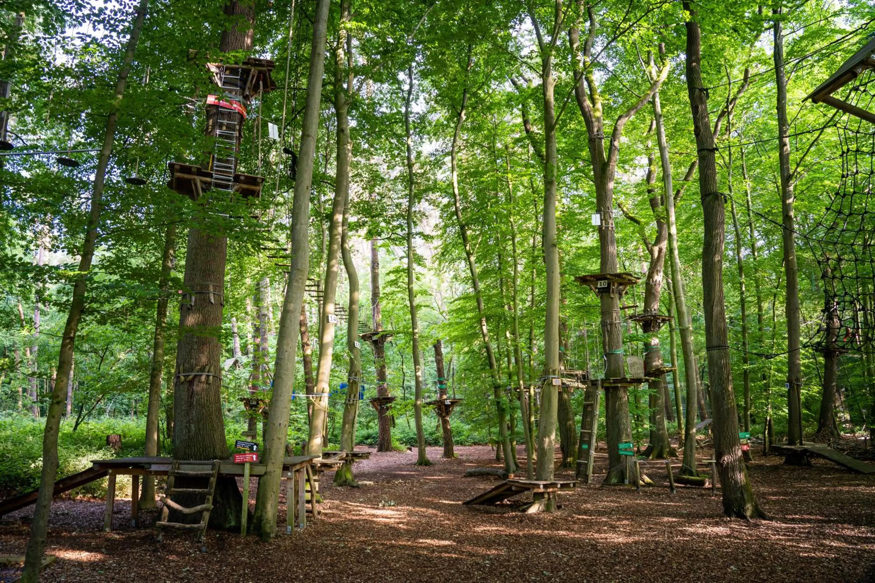 Nearby landmark in Arthotel ANA Fleur