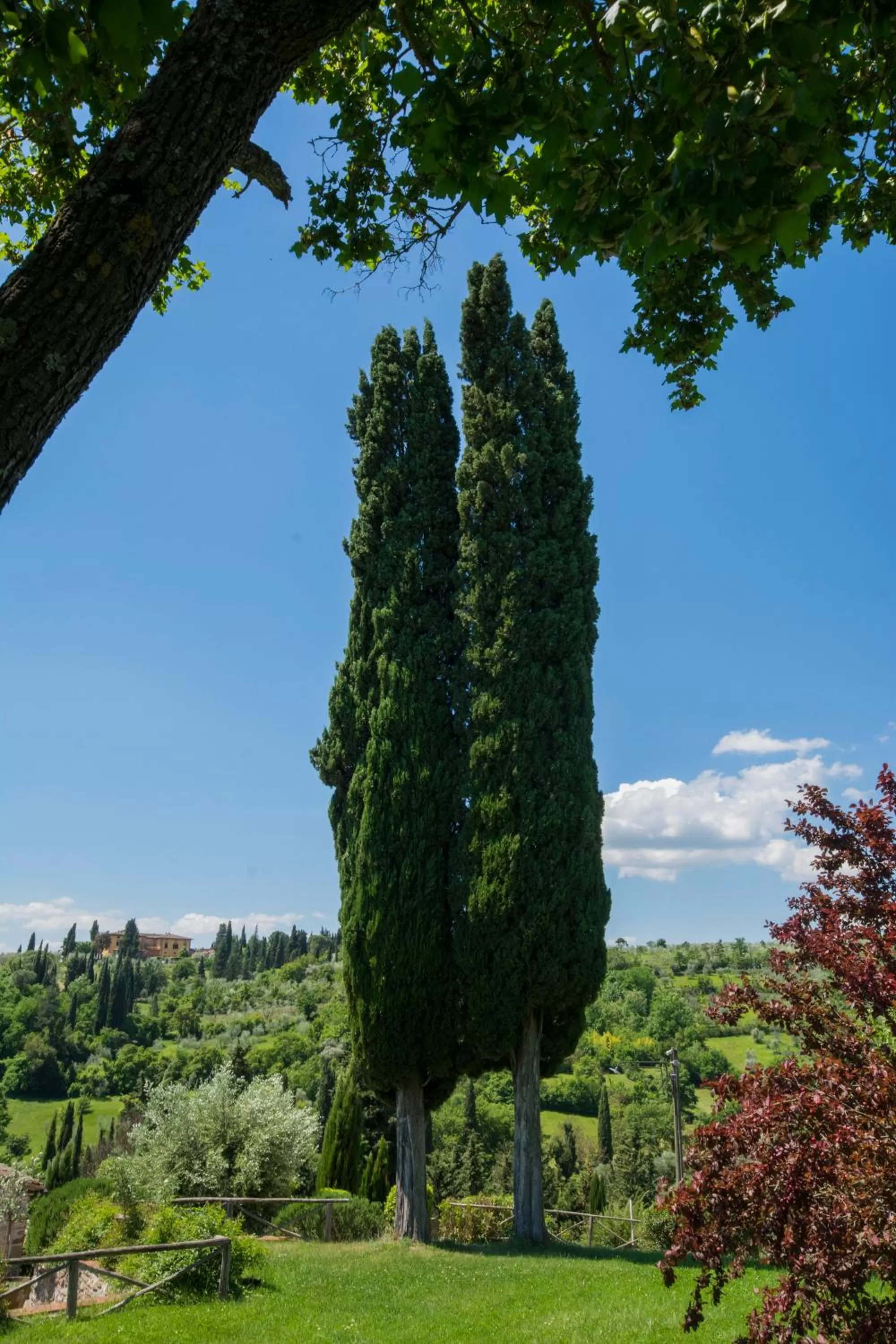 Garden in Borgo Bottaia