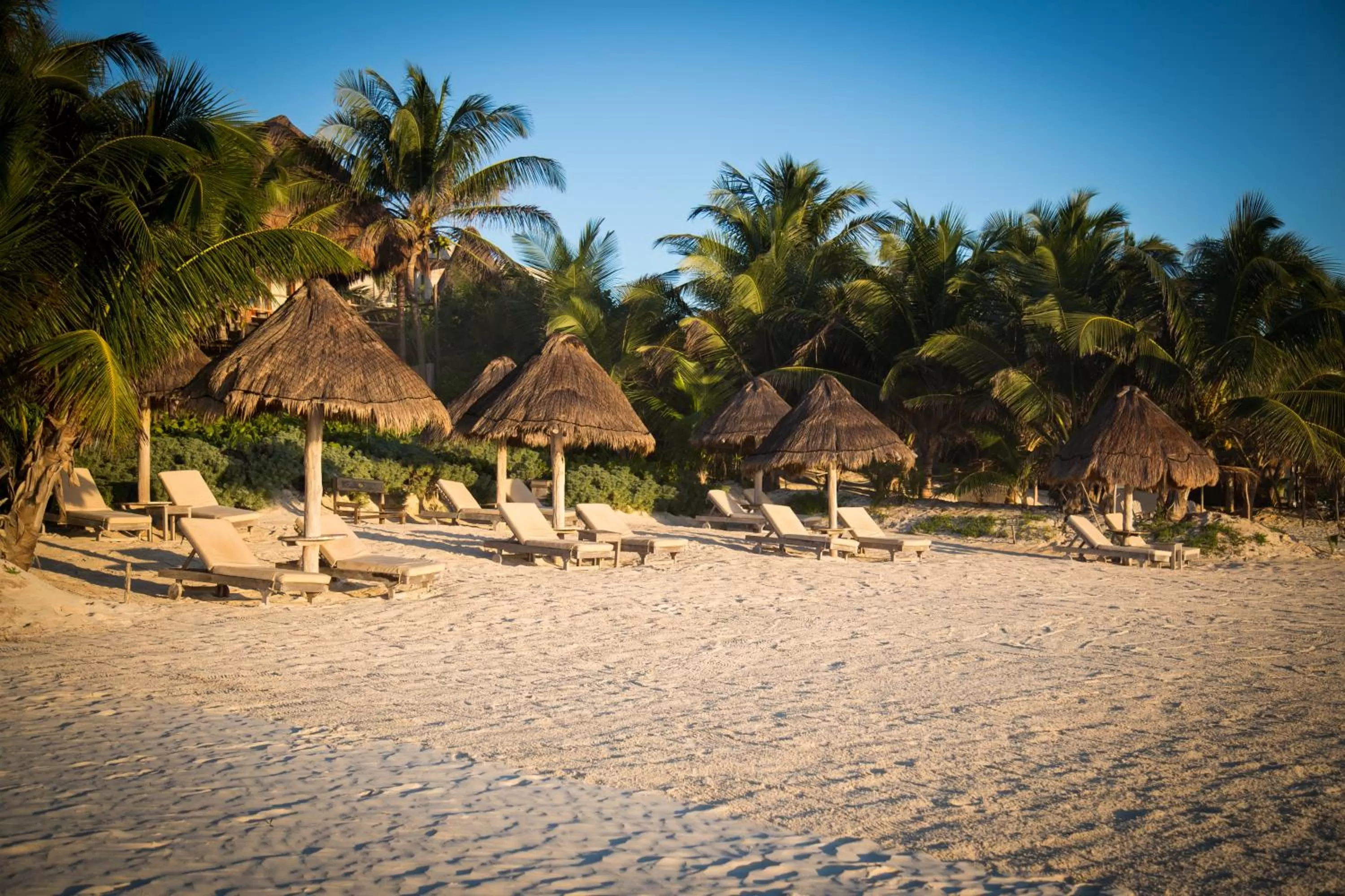 Beach in Encantada Tulum