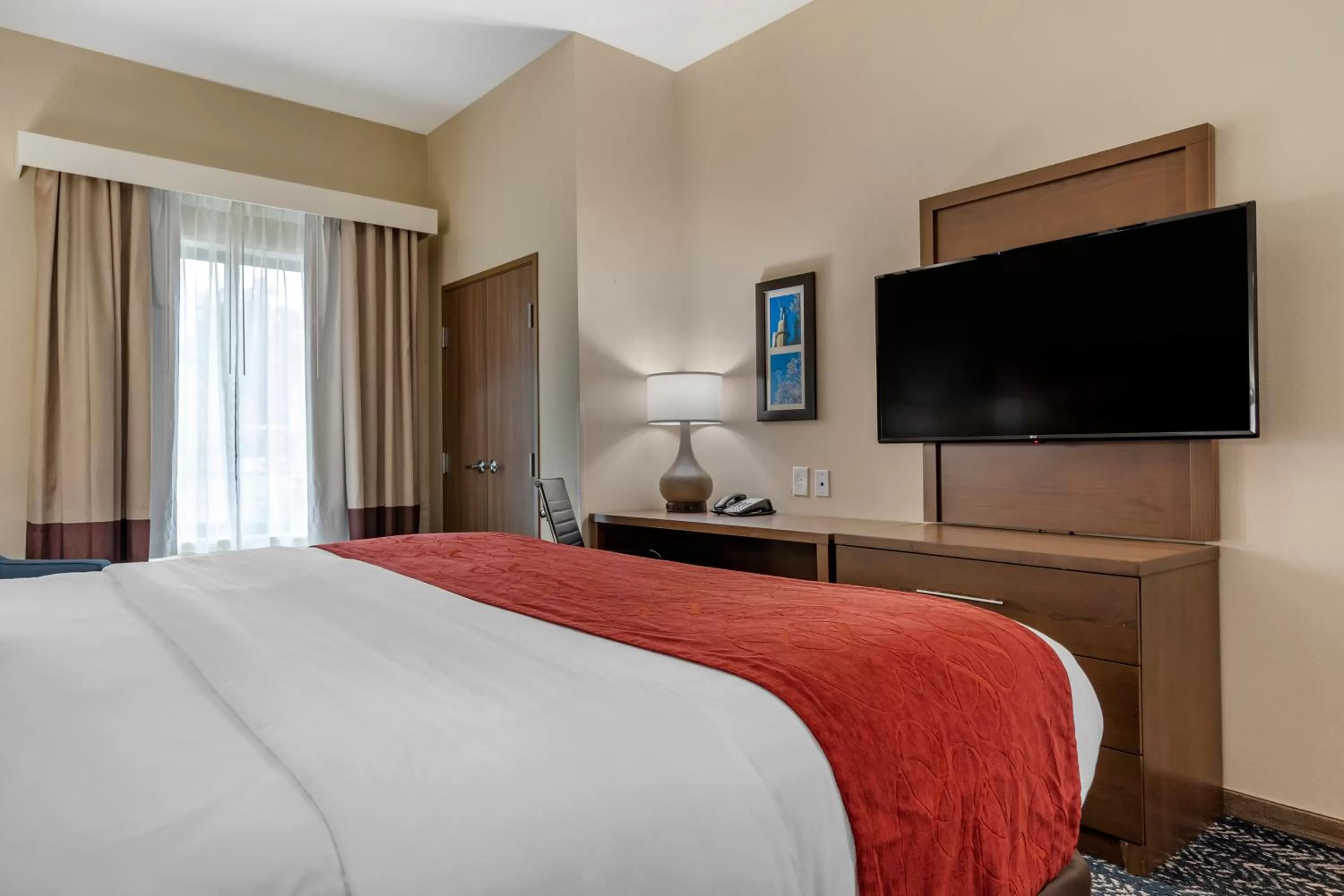 Bed in Comfort Inn & Suites Downtown near University