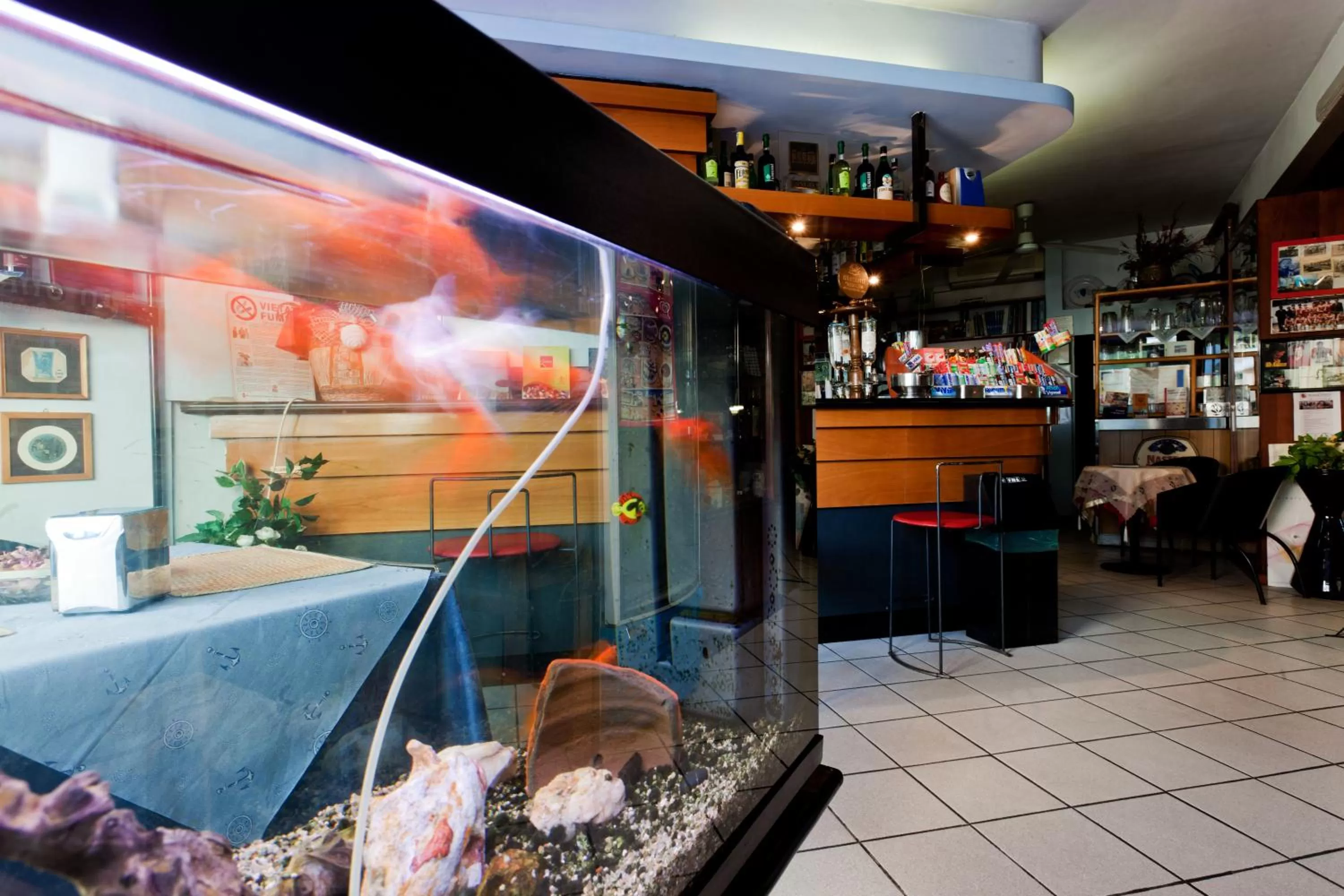 Lounge or bar in Hotel Letizia