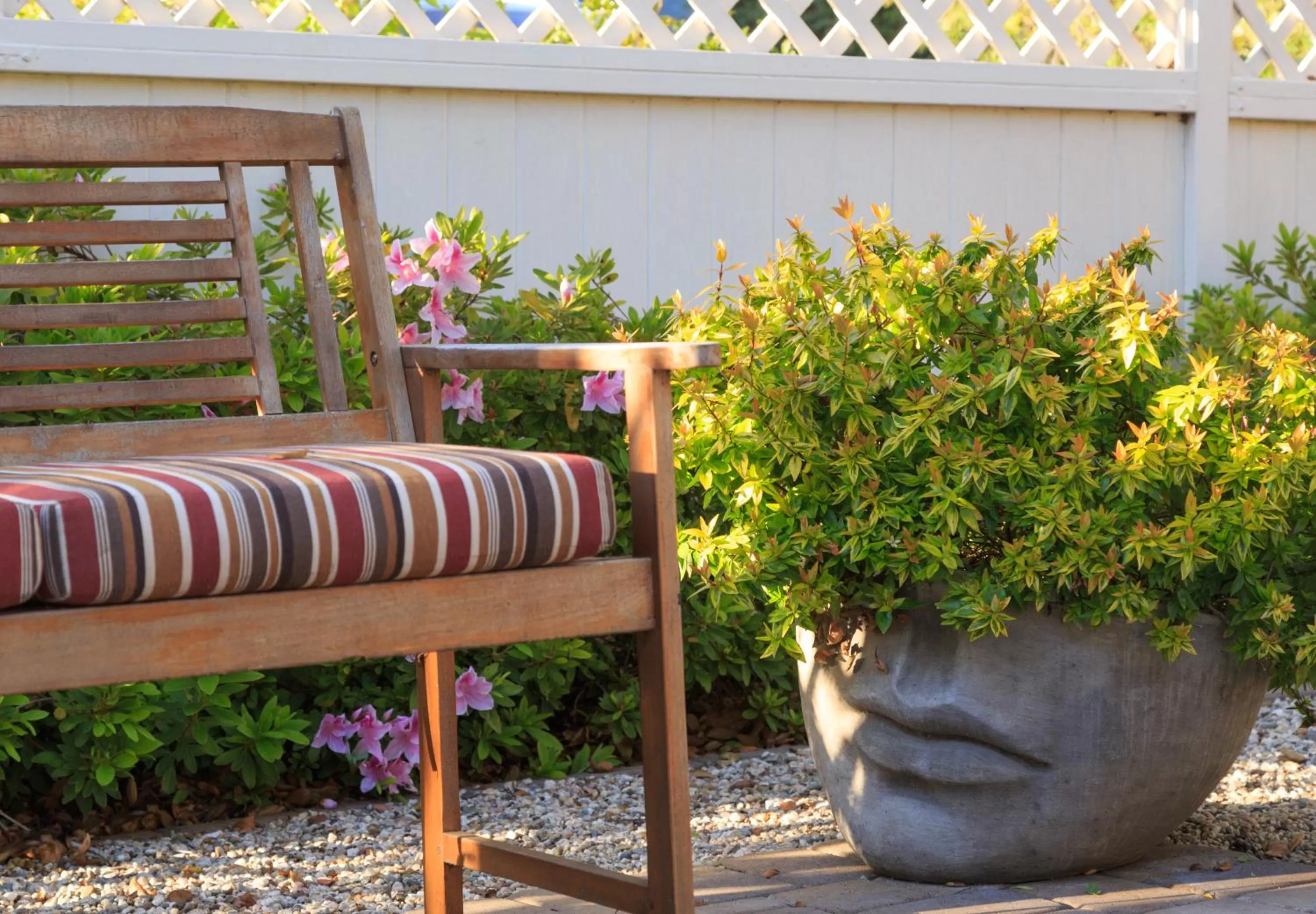 Patio in Cheshire Cat Inn & Cottages