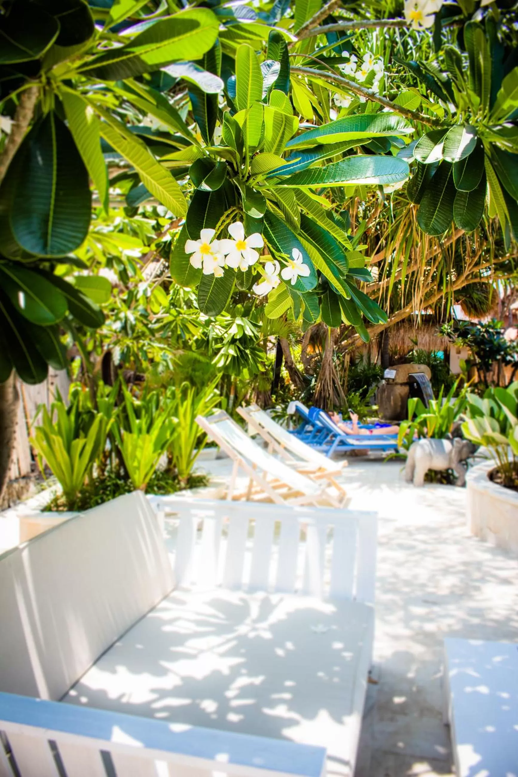 Day in Sunrise Resort