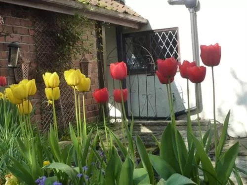 Property building in Church Villa B & B