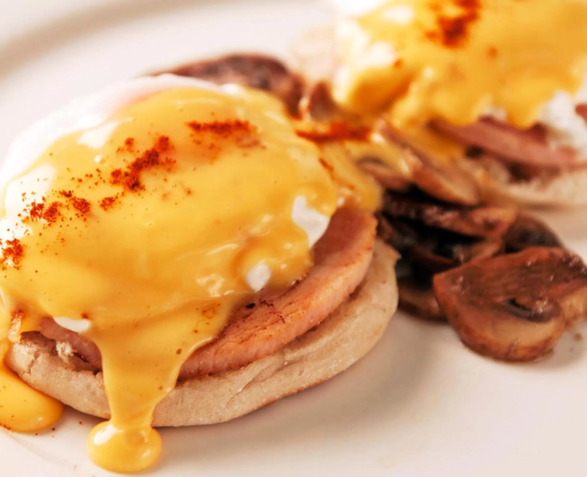 Restaurant/places to eat in Hotel Panamonte