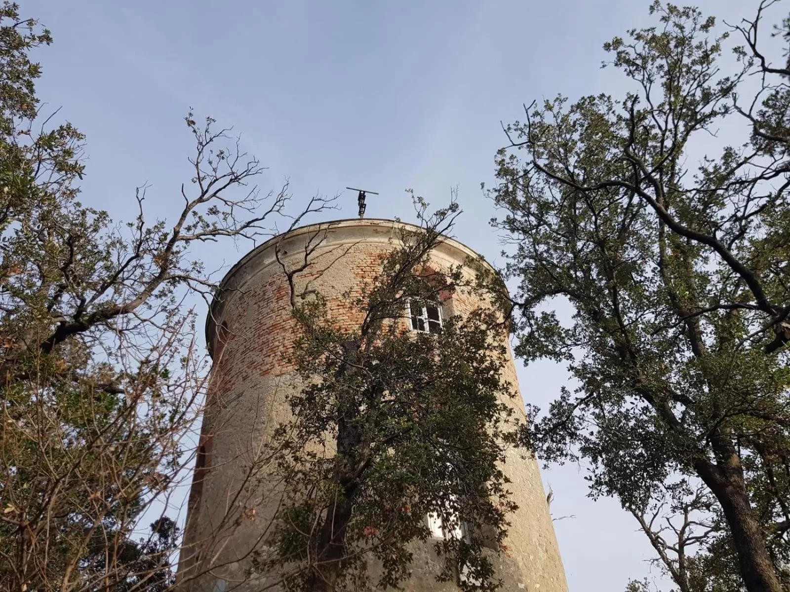Garden view in Grand Hotel Dei Castelli