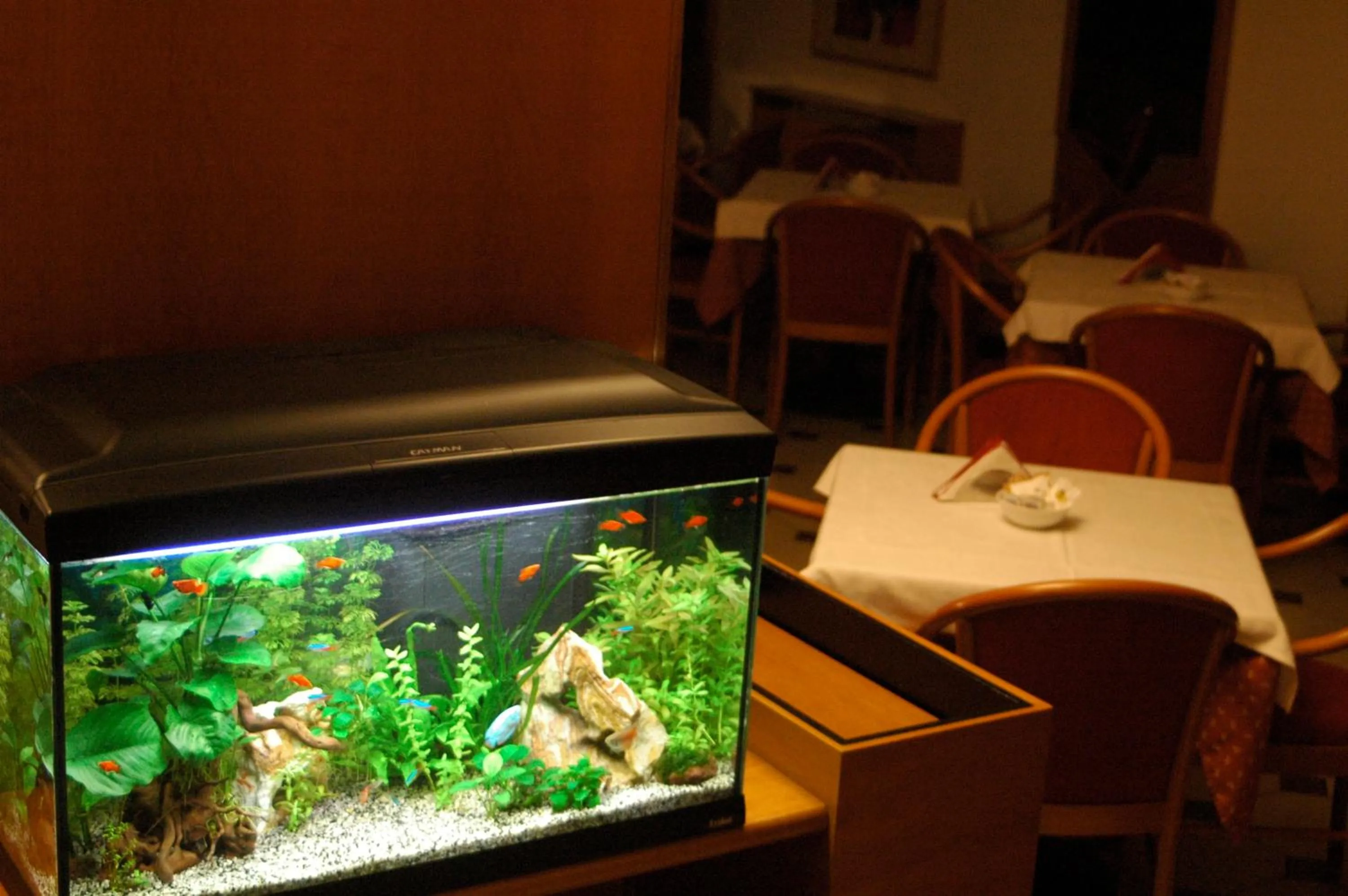 Restaurant/places to eat in Hotel Principe