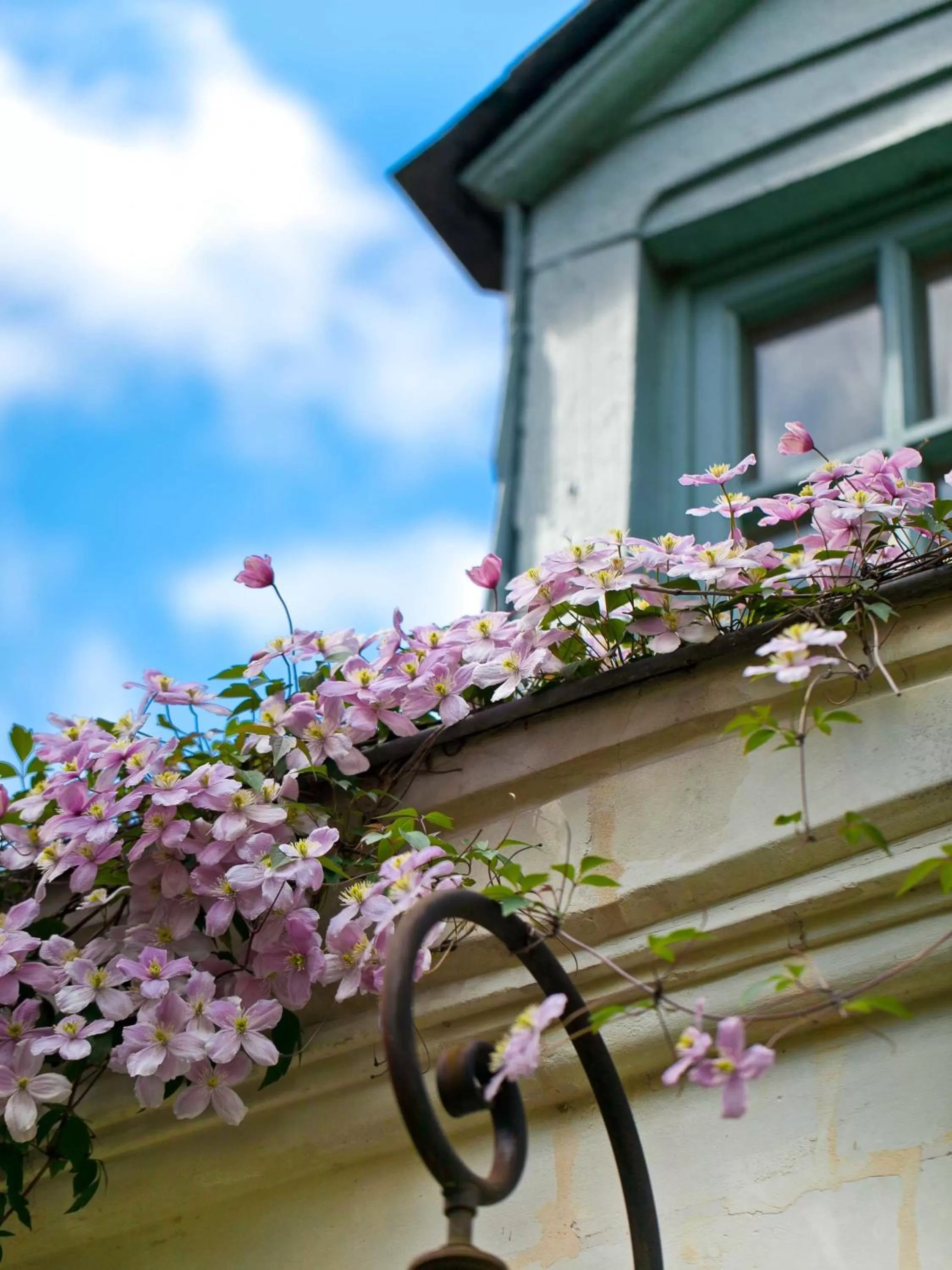Decorative detail in La Maison Jules
