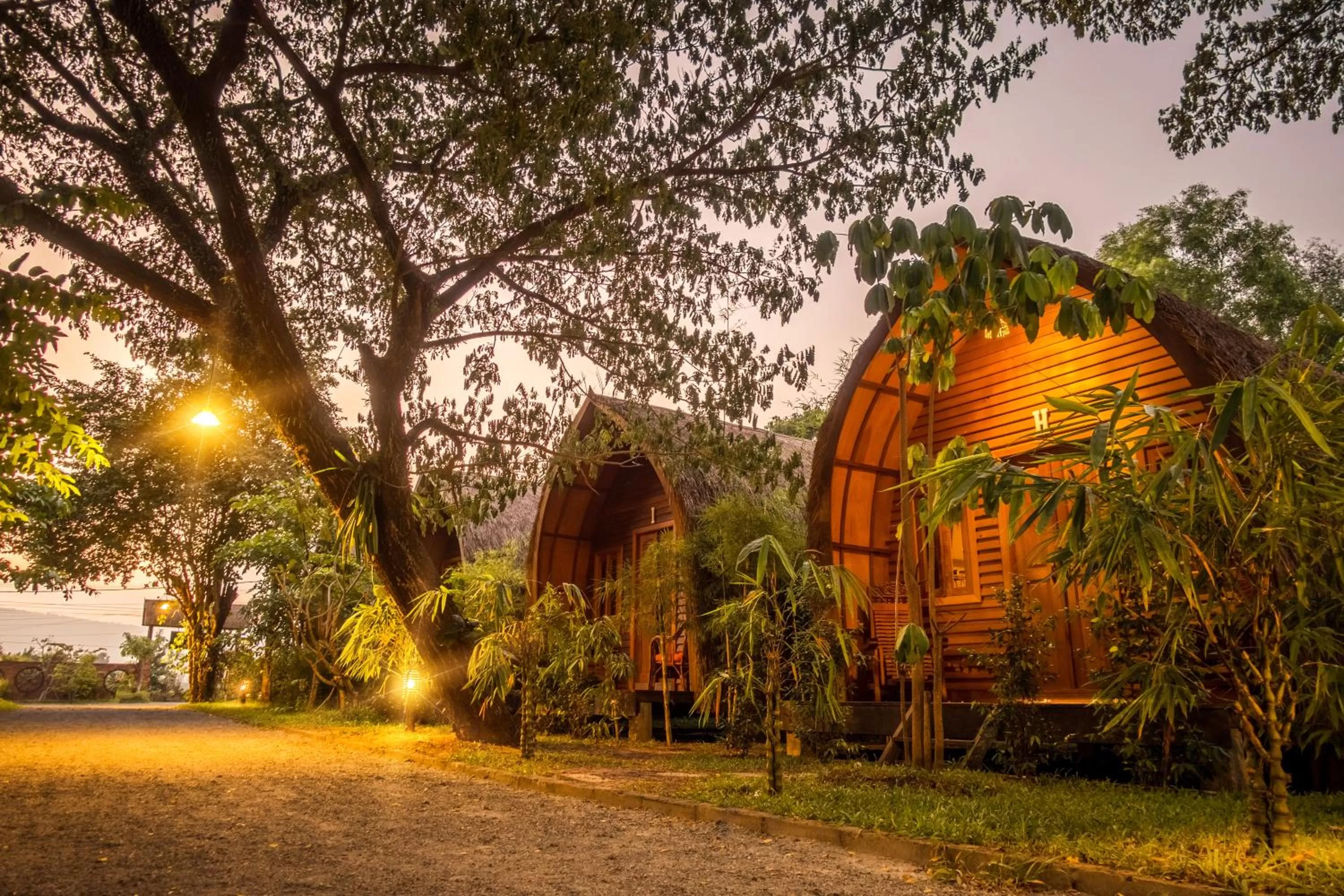 Garden view in Bamboo Bungalow