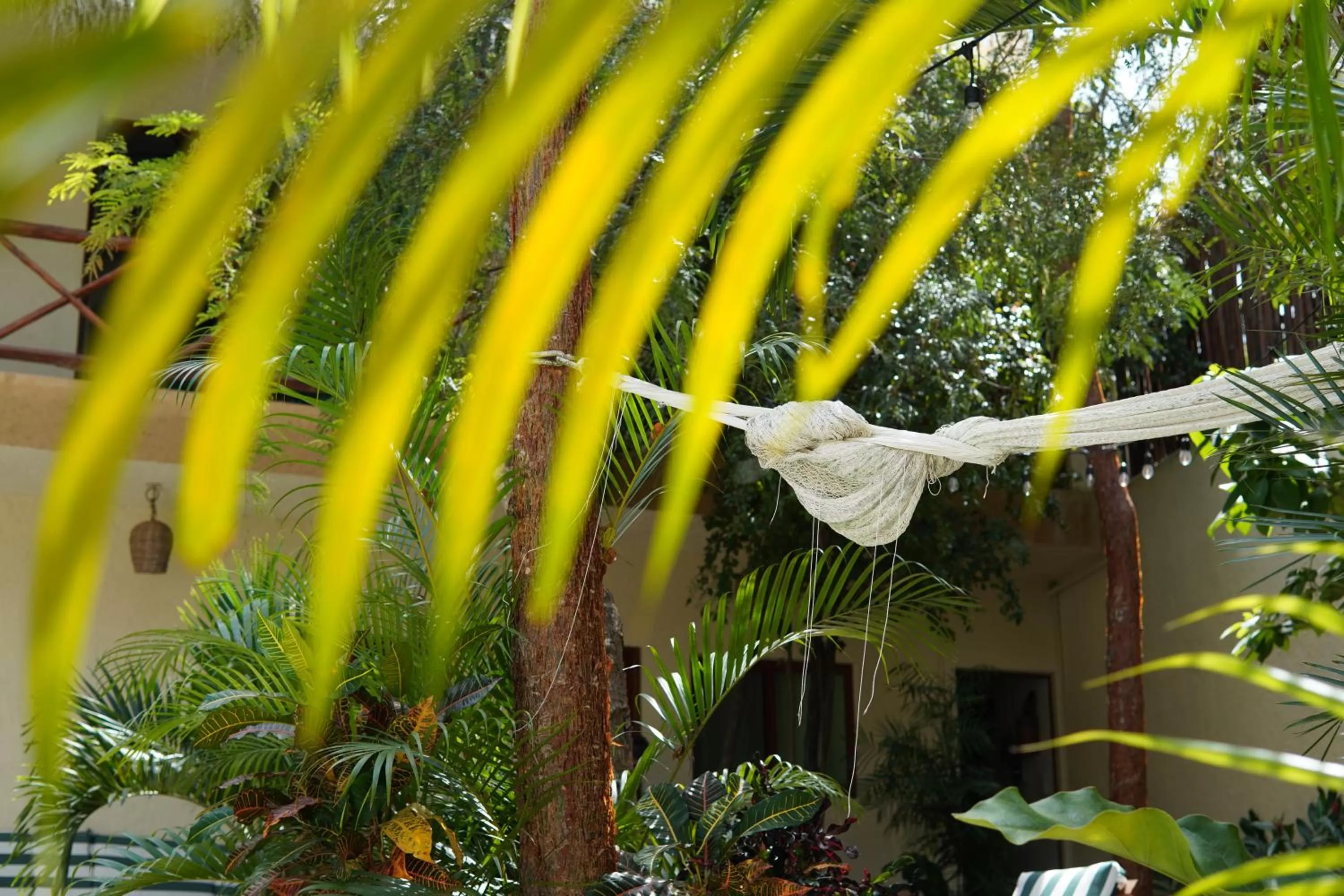 Day in Aldea San Lam - Oasis Of Tulum