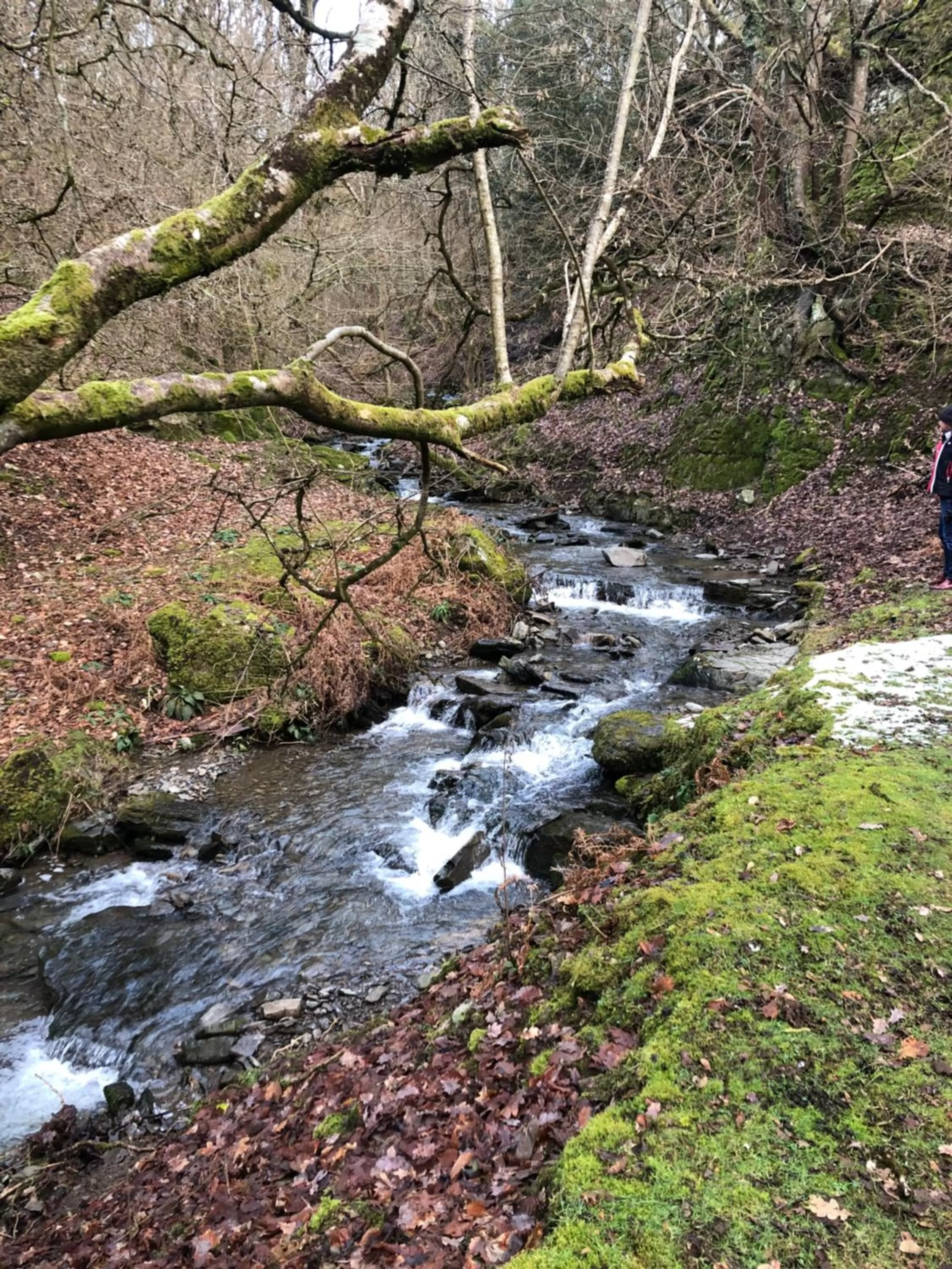 Street view, Natural Landscape in The Skreen