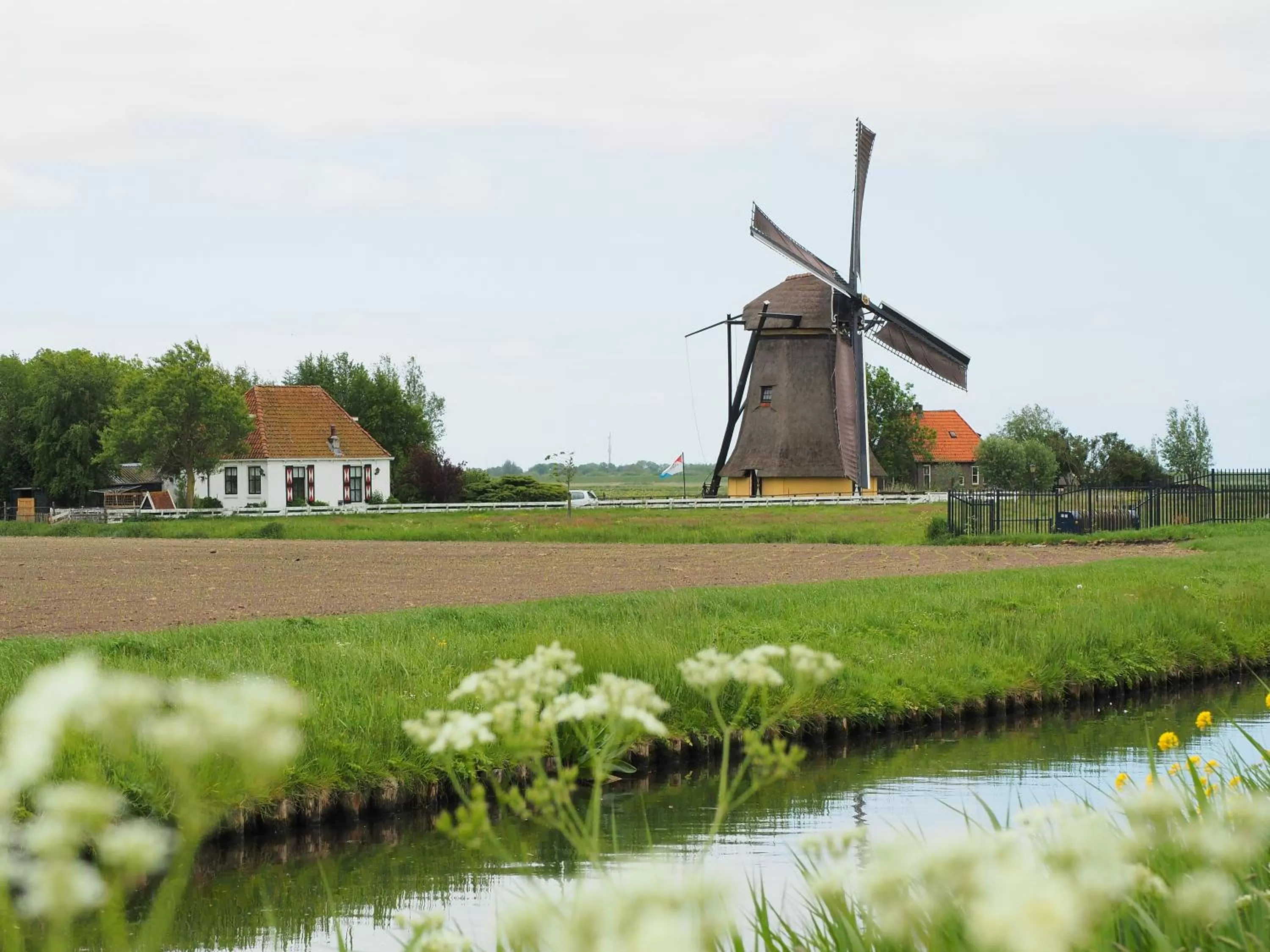 Area and facilities in Hotel Workum