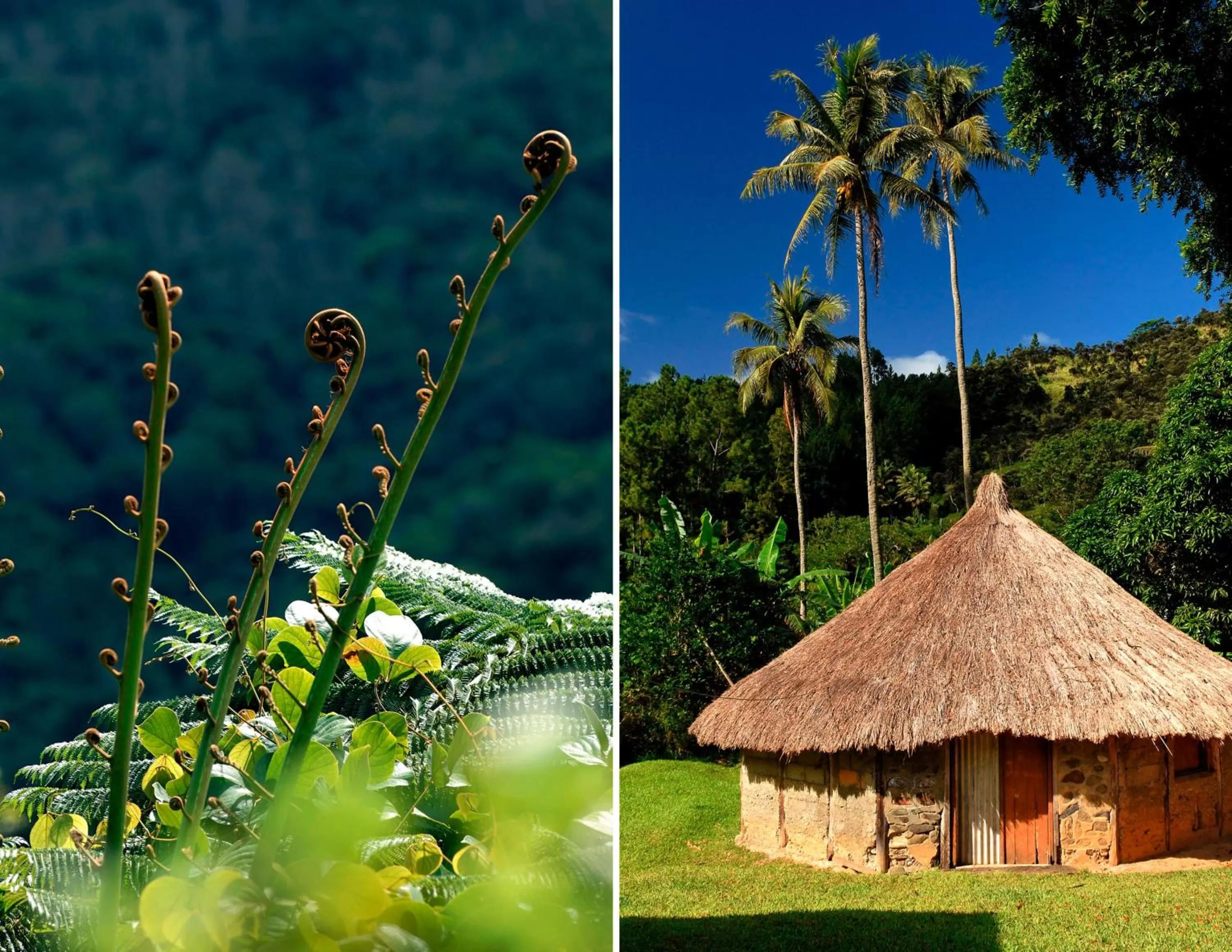 Facade/entrance in Hotel Koulnoue Village