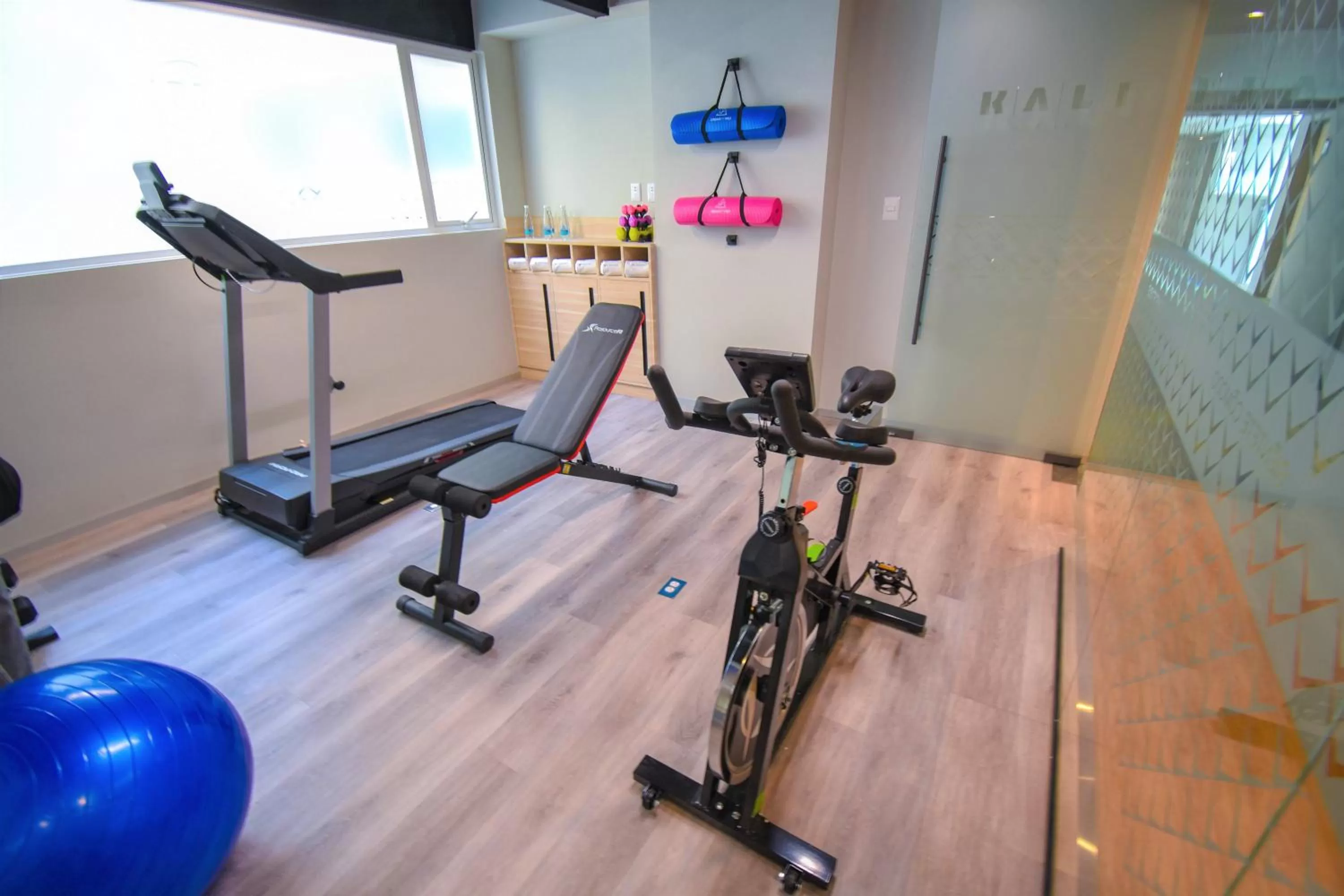 Fitness centre/facilities in KALI Centro Mexico City