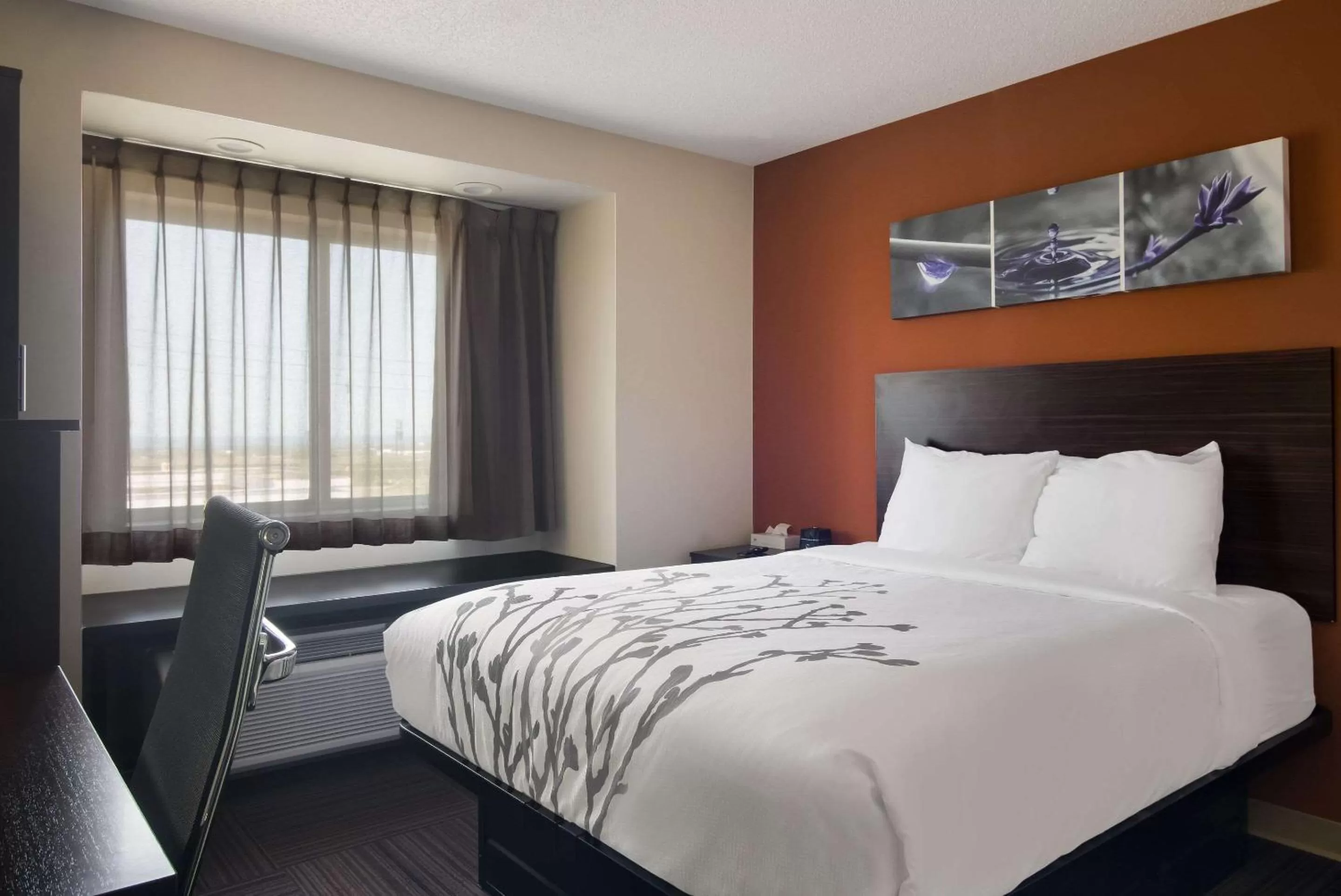 Bedroom, Bed in Sleep Inn Erie near Sports Center