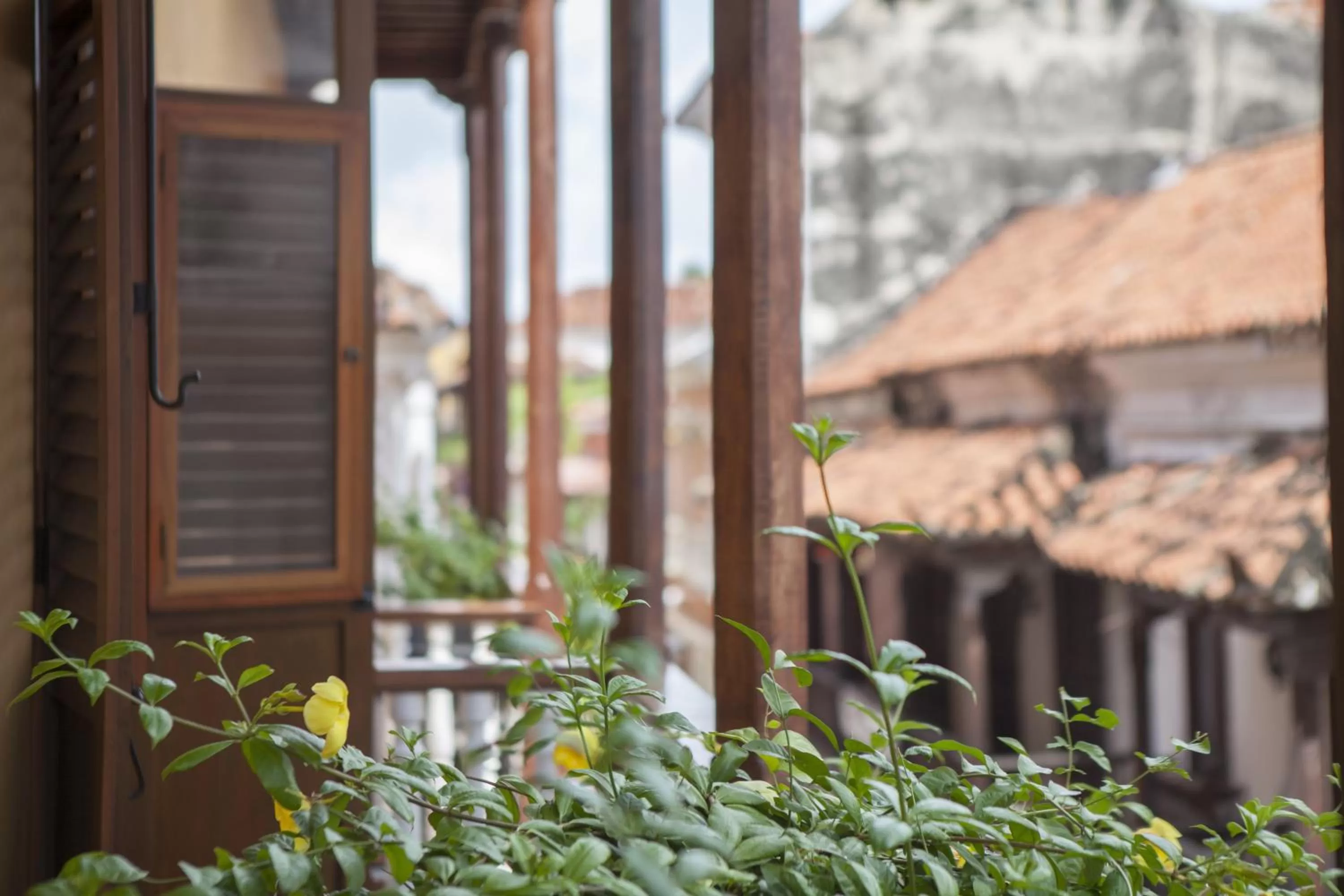 Balcony/Terrace in Hotel Boutique Casa del Coliseo