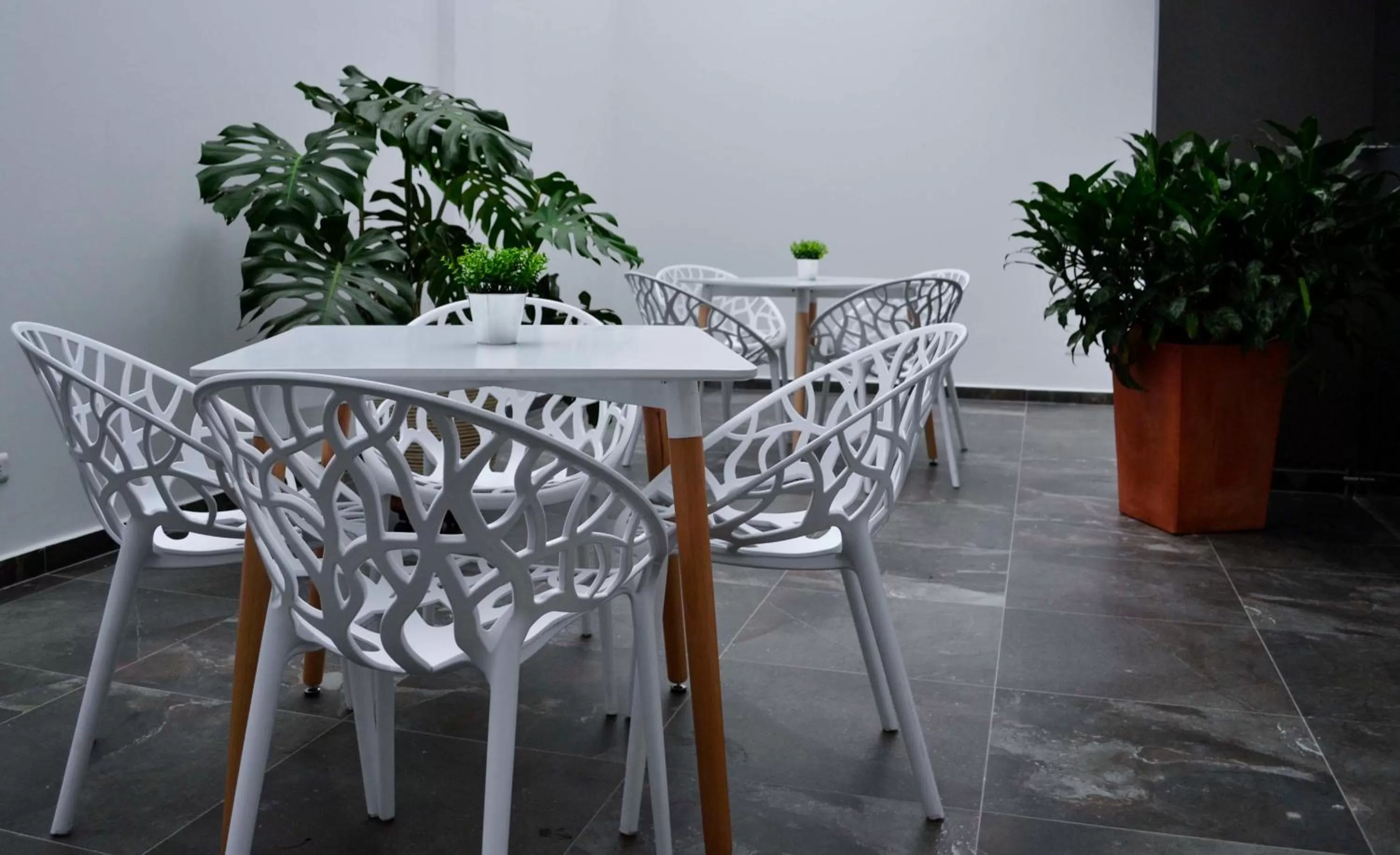 Patio in Solev Hotel