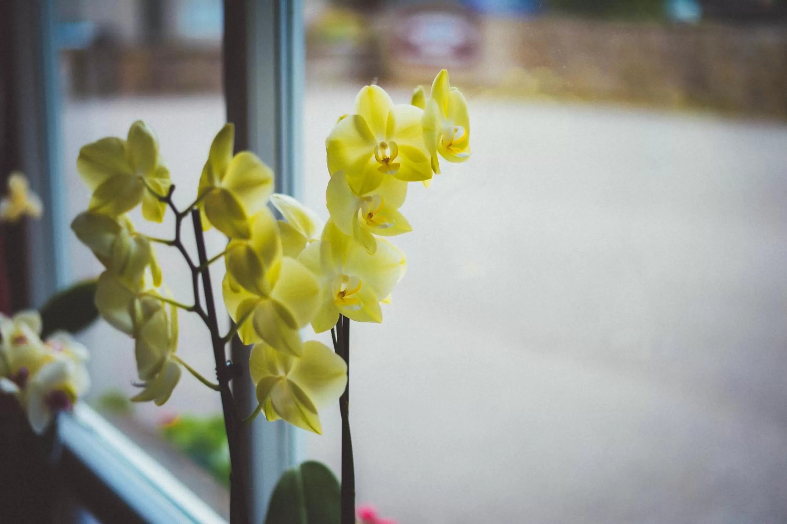 Decorative detail in Sunninghill Hotel