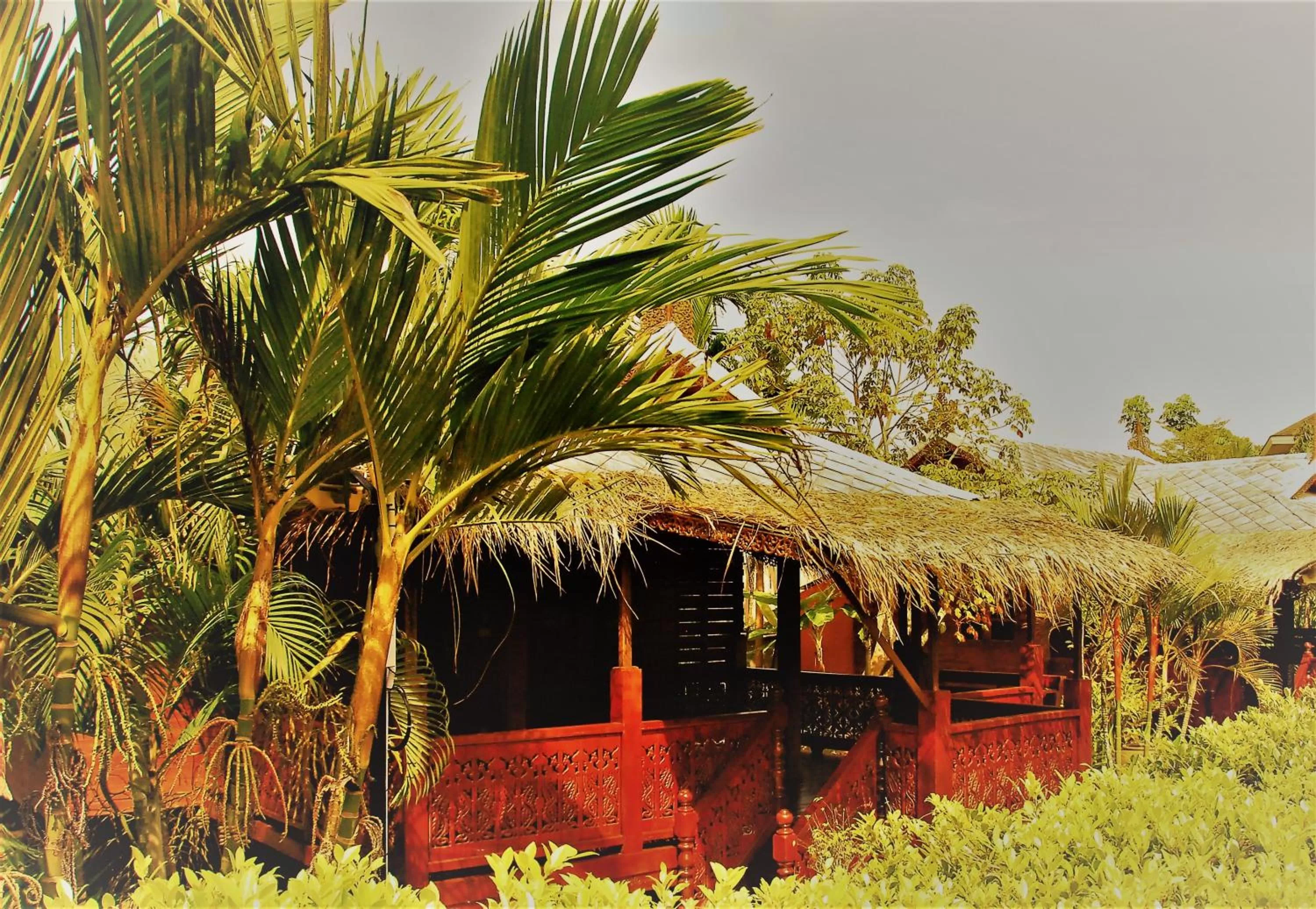Balcony/Terrace in Cozy Garden Resort