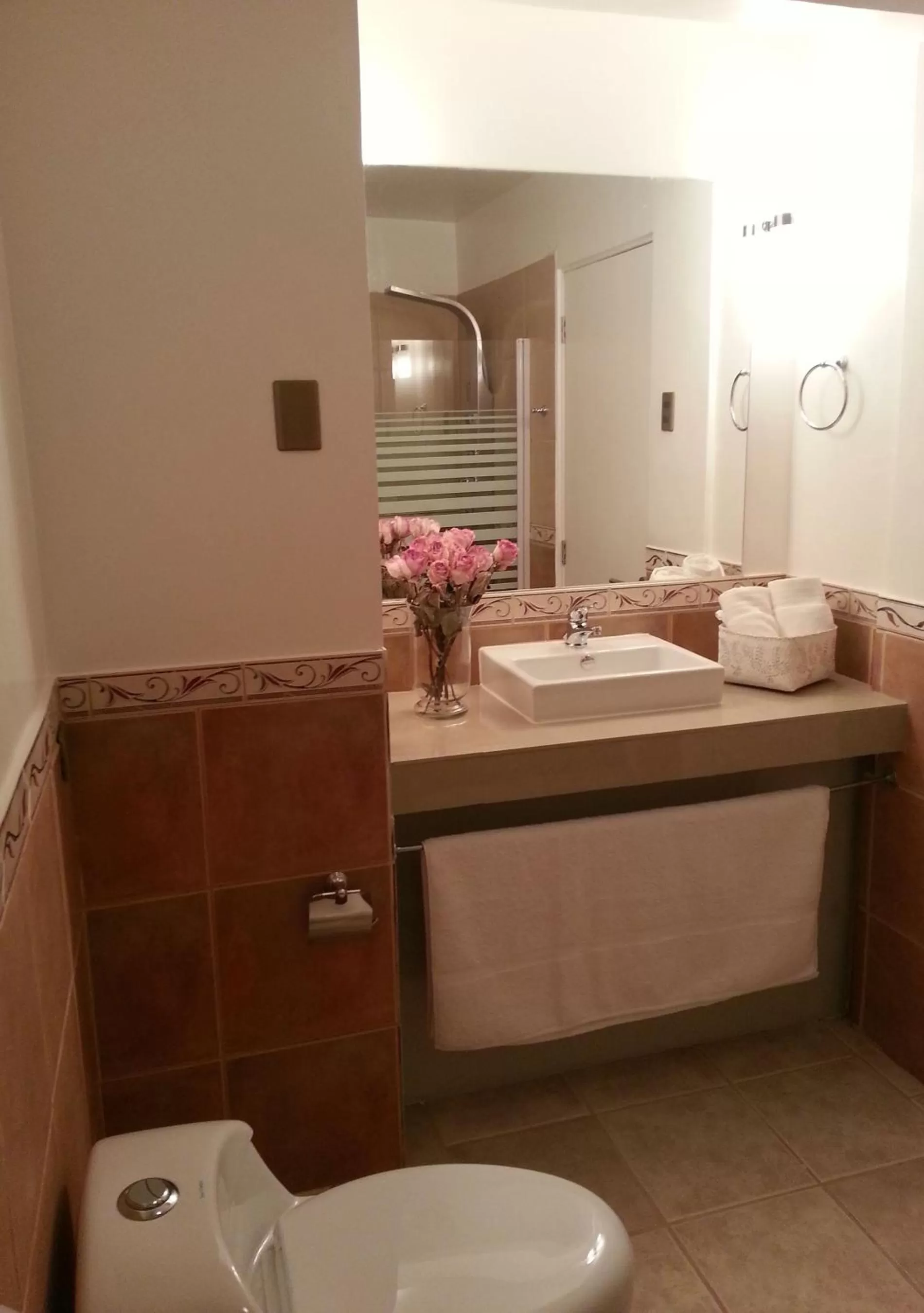 Bathroom in Atankalama