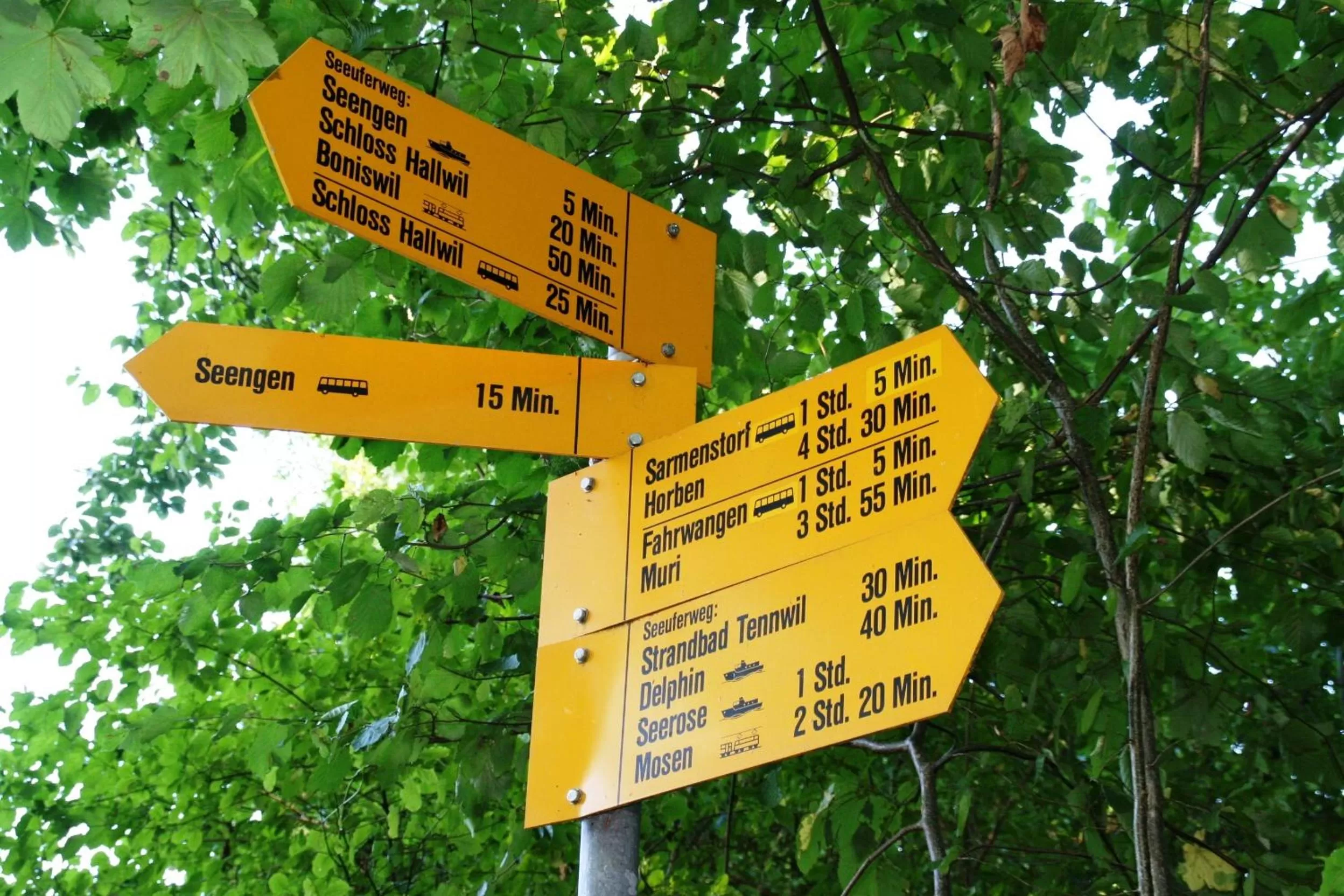 Natural landscape in Seehotel Delphin