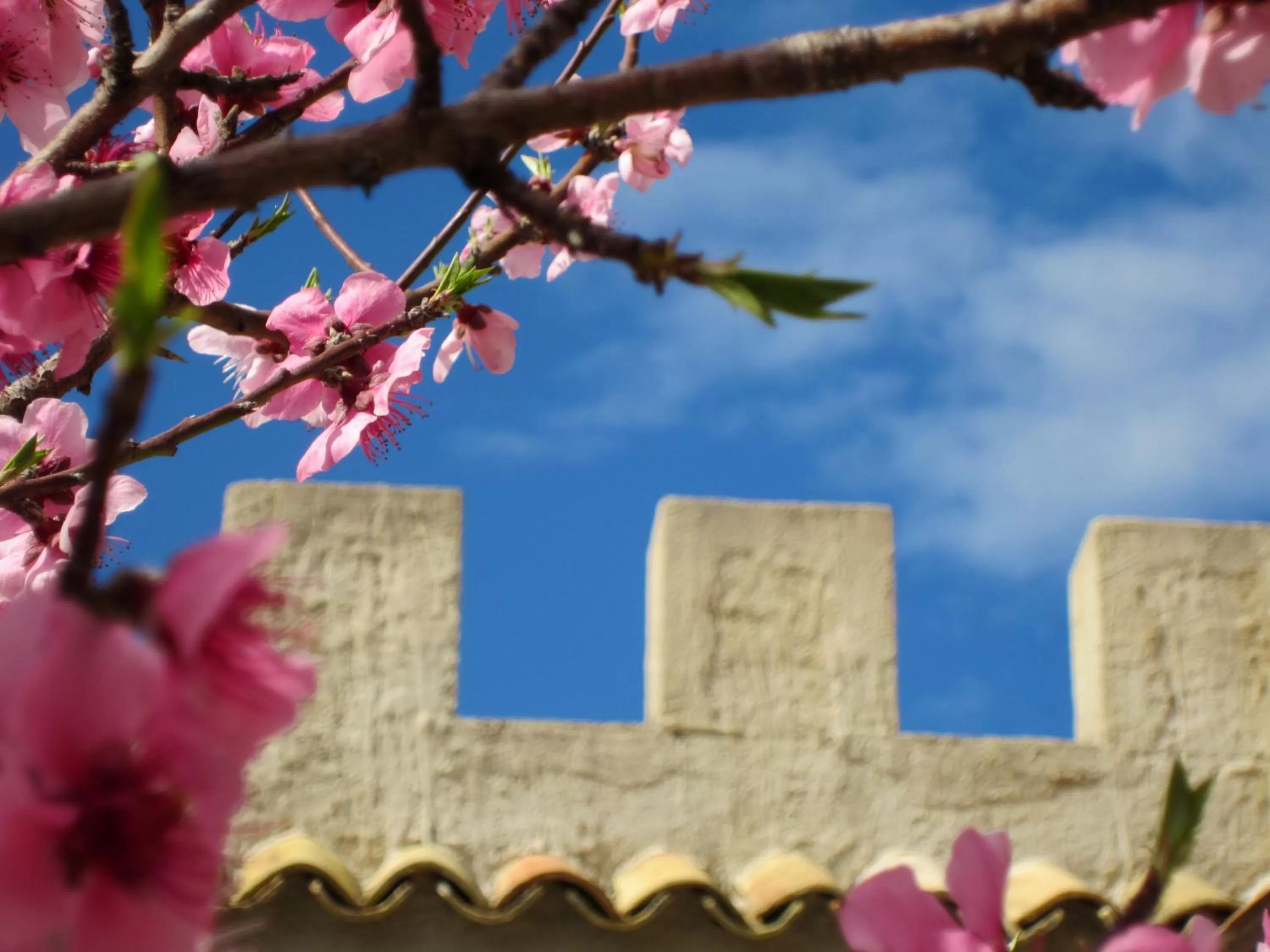 Facade/entrance in Xanadu - Villa Giardinata