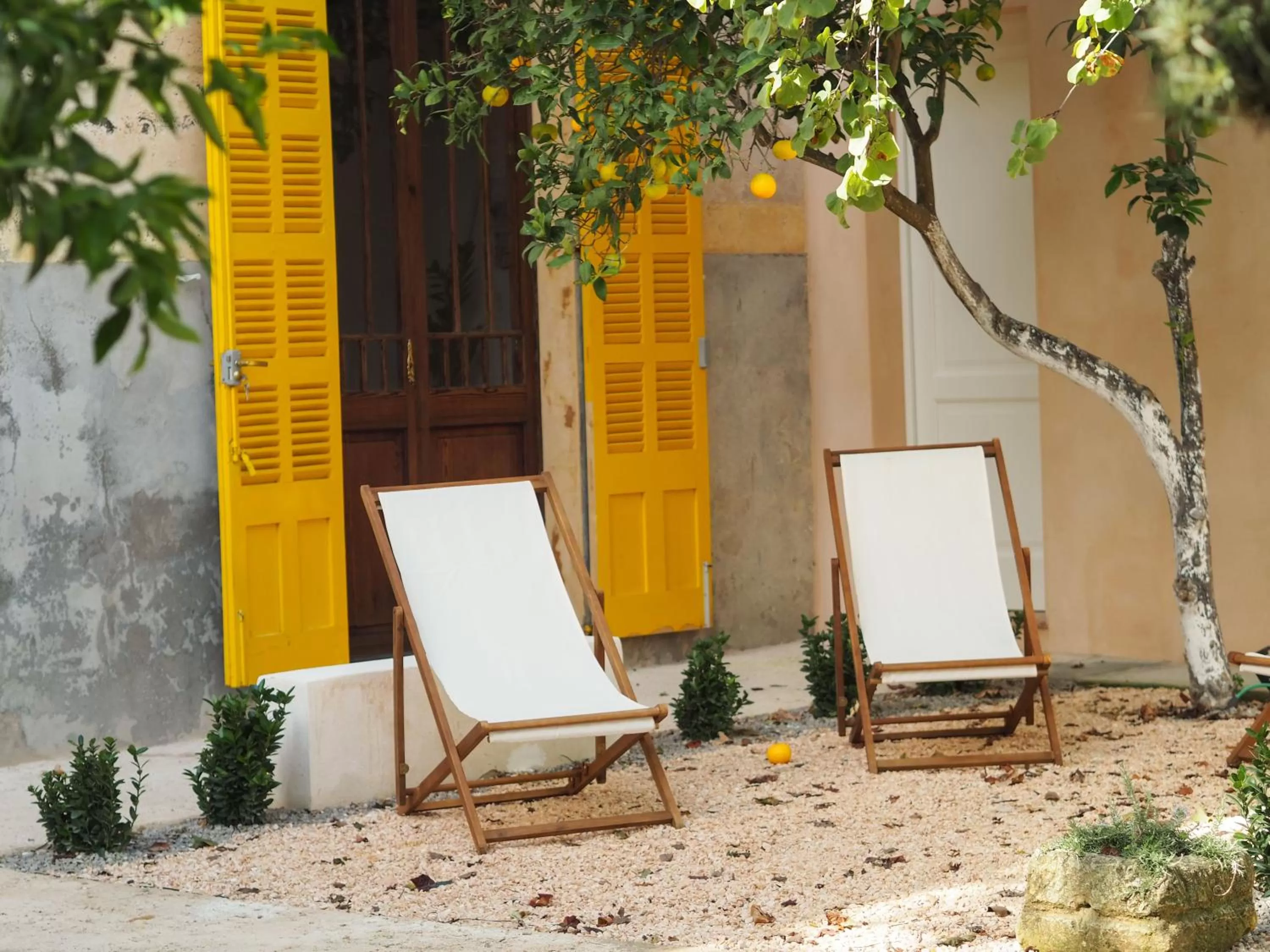 Garden in Hotel Boutique Can Pocovi