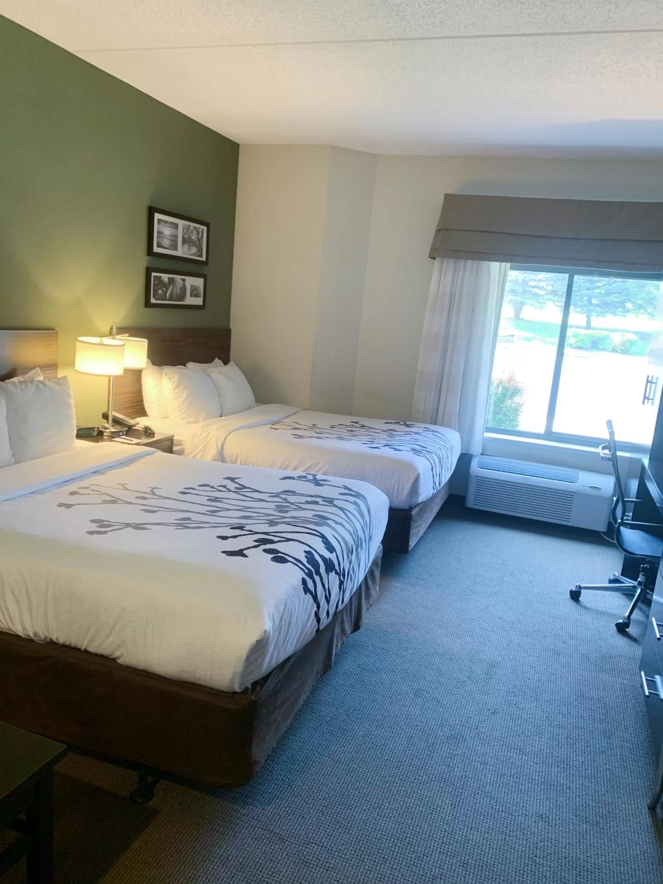 Bedroom, Bed in Sleep Inn & Suites Queensbury - Lake George