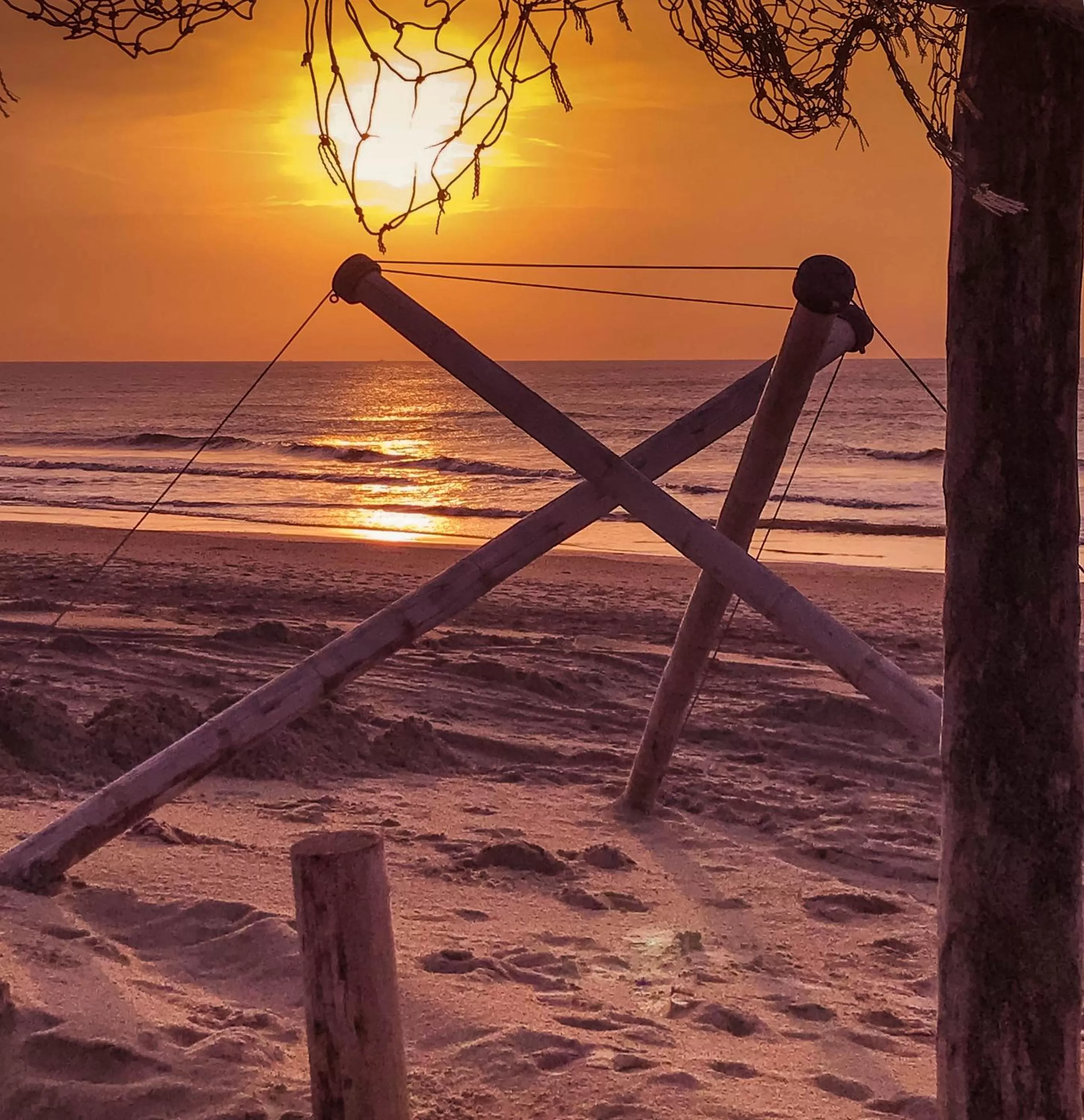 Natural landscape in Bed en Bike Strûnen op Texel