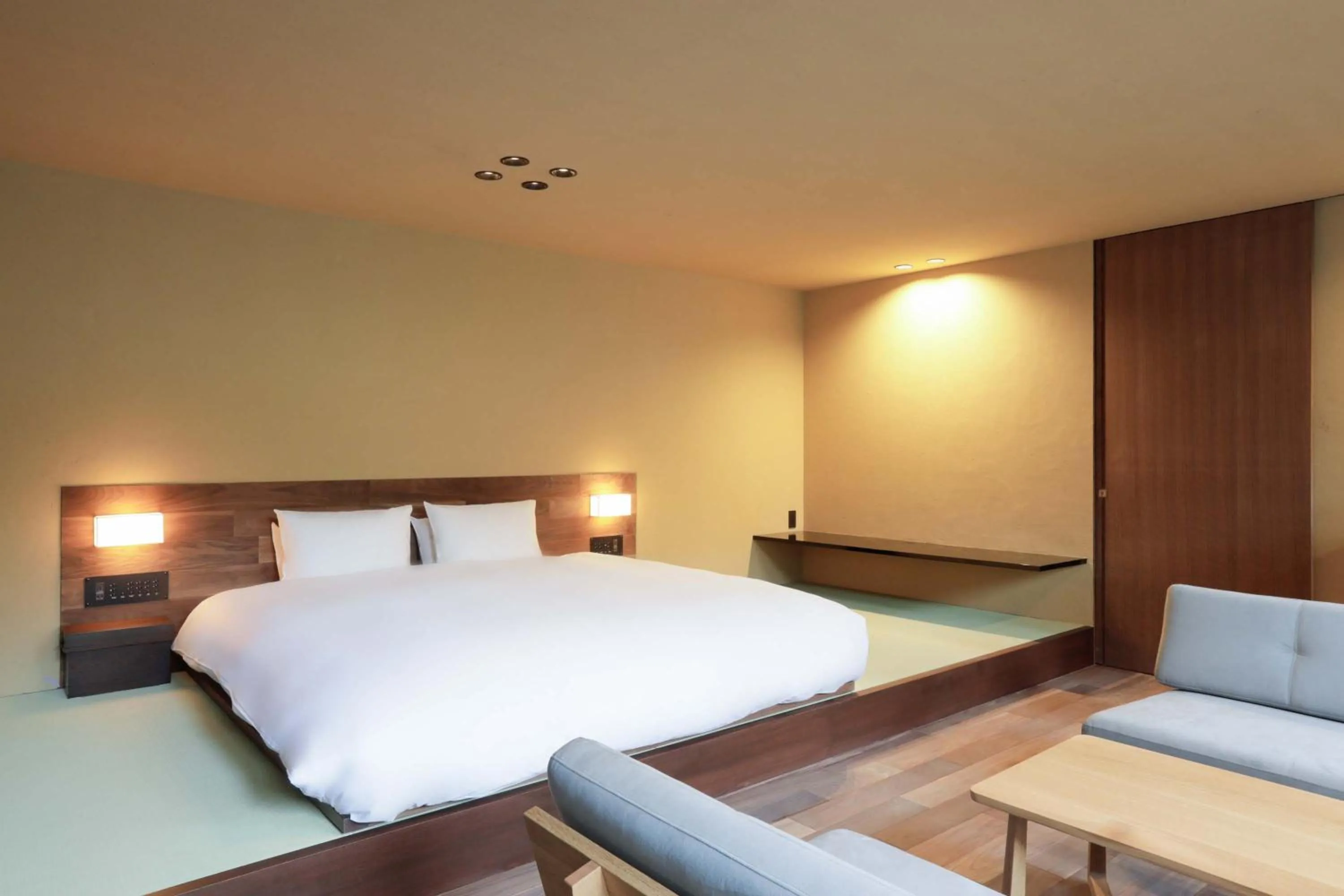 Deluxe King Room with Tatami Area and Open Air Bath (with Garden View)(Annex) - single occupancy in Sowaka