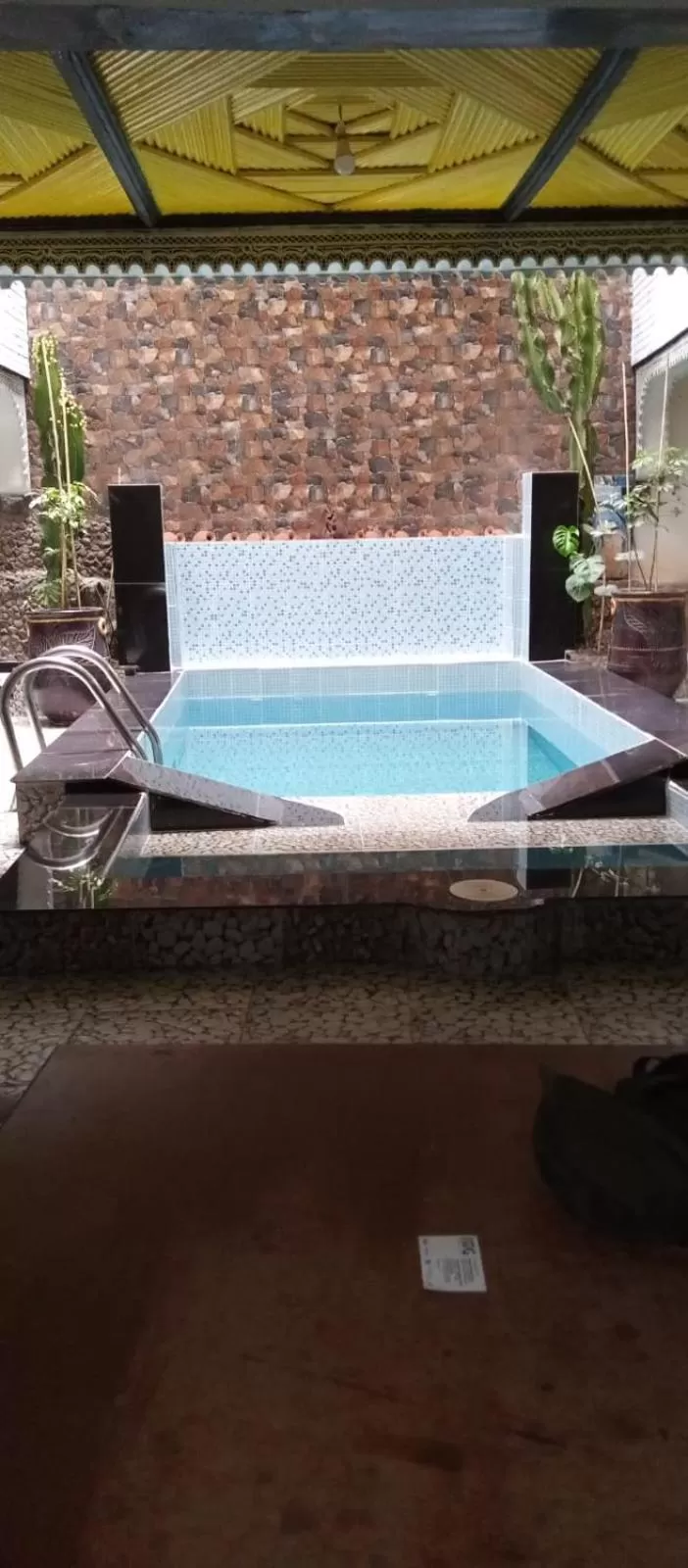 Swimming Pool in Riad Salma de Groot