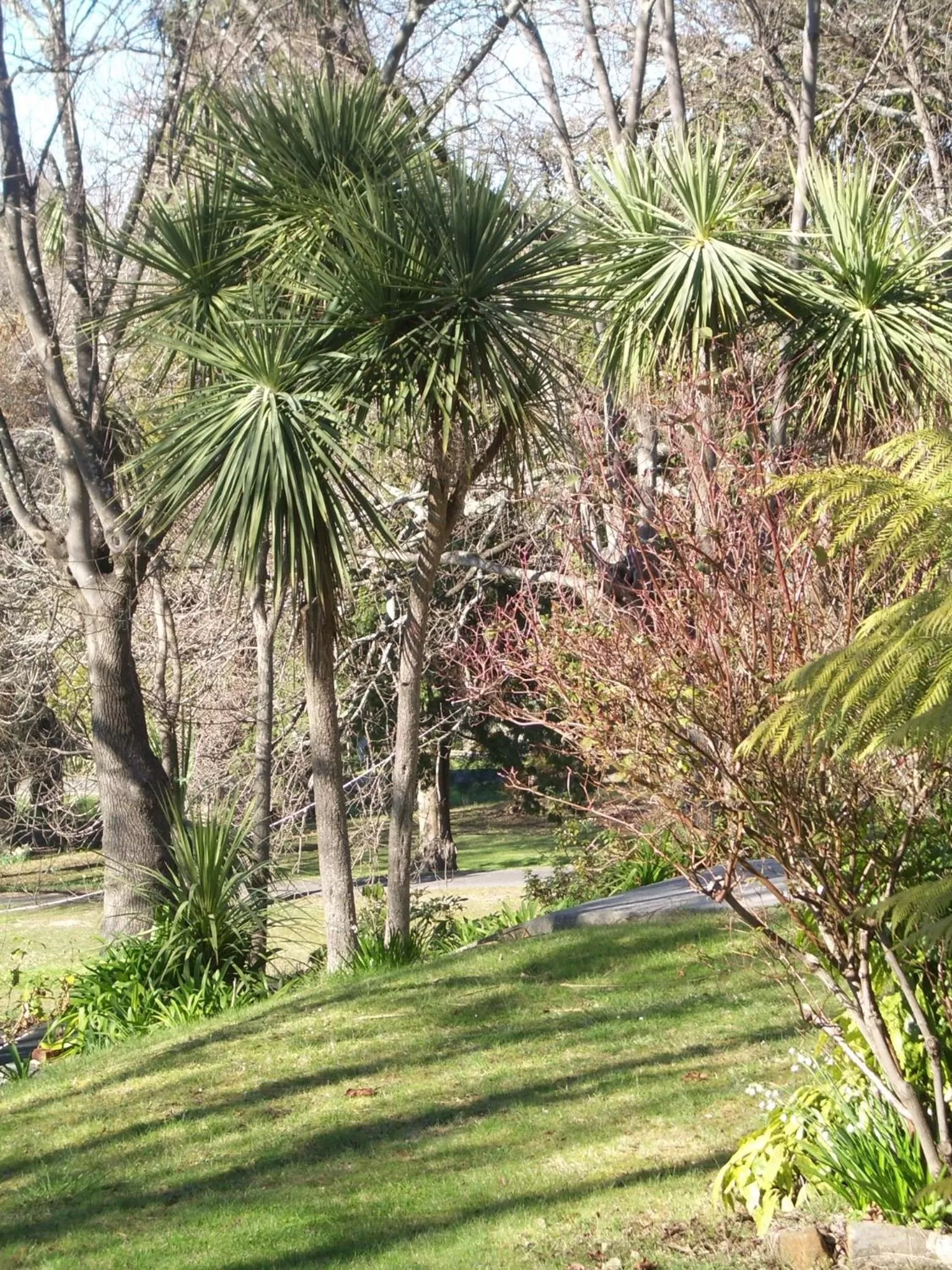 Natural landscape in Lucinda B&B