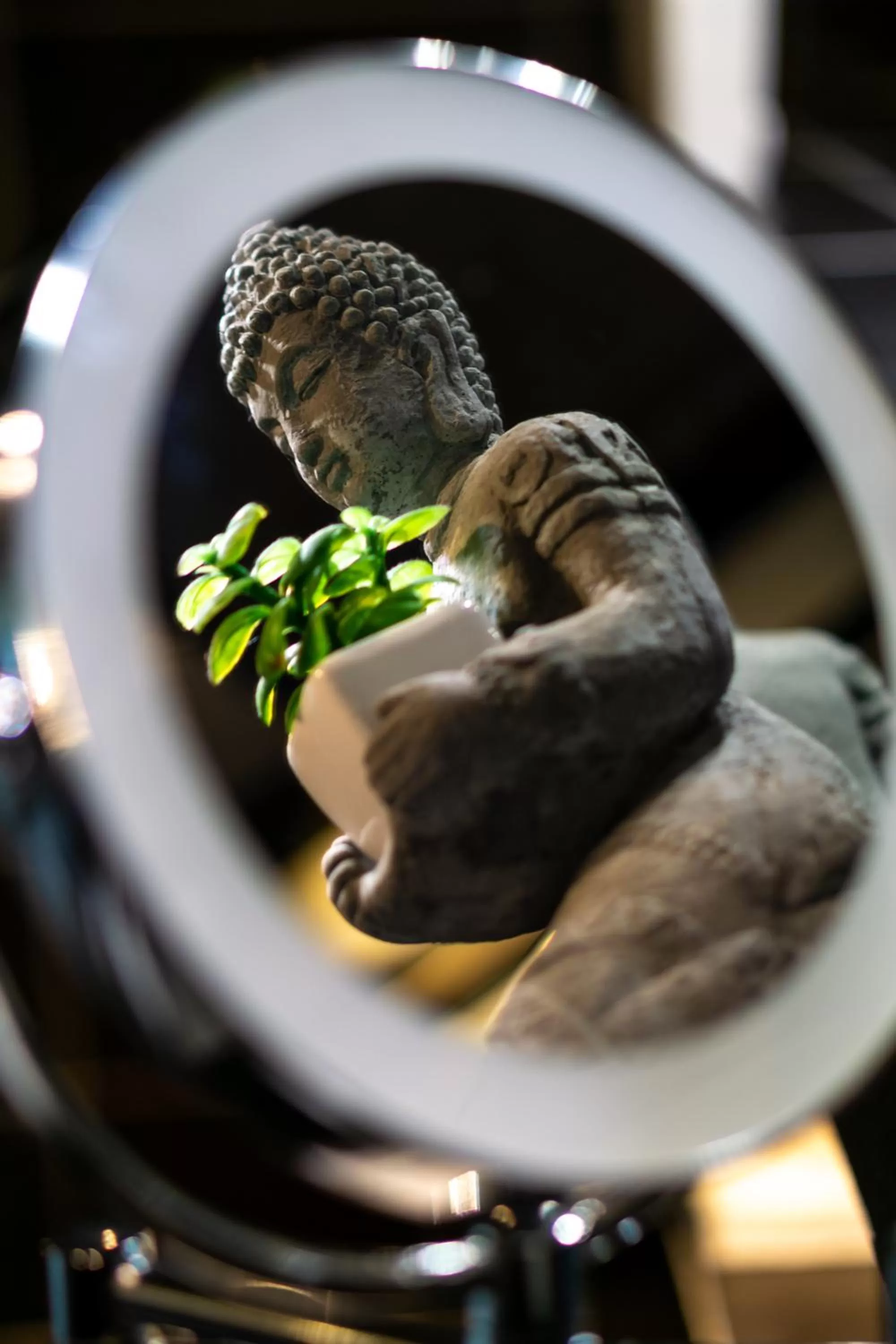 Decorative detail in SL'otel - Das StadtHotel - voll Klimatisiert