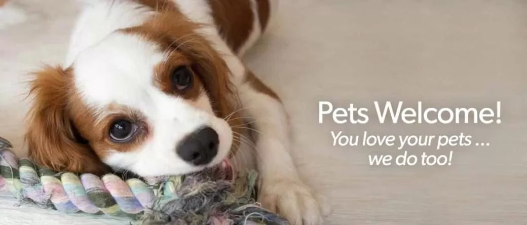 On site in Roadway Inn Troy