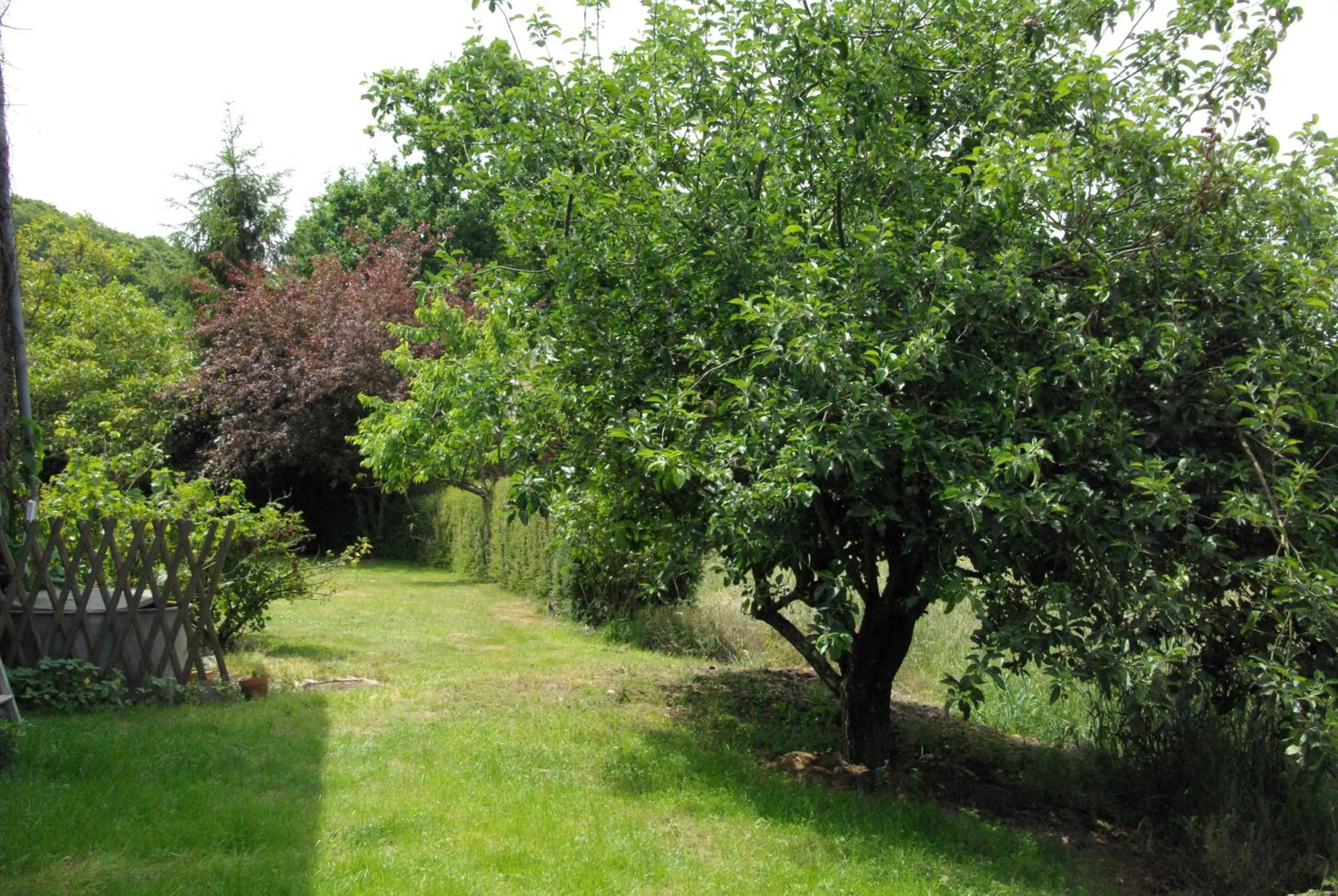 Garden in Chambres d'hôtes La Fontaine Garel