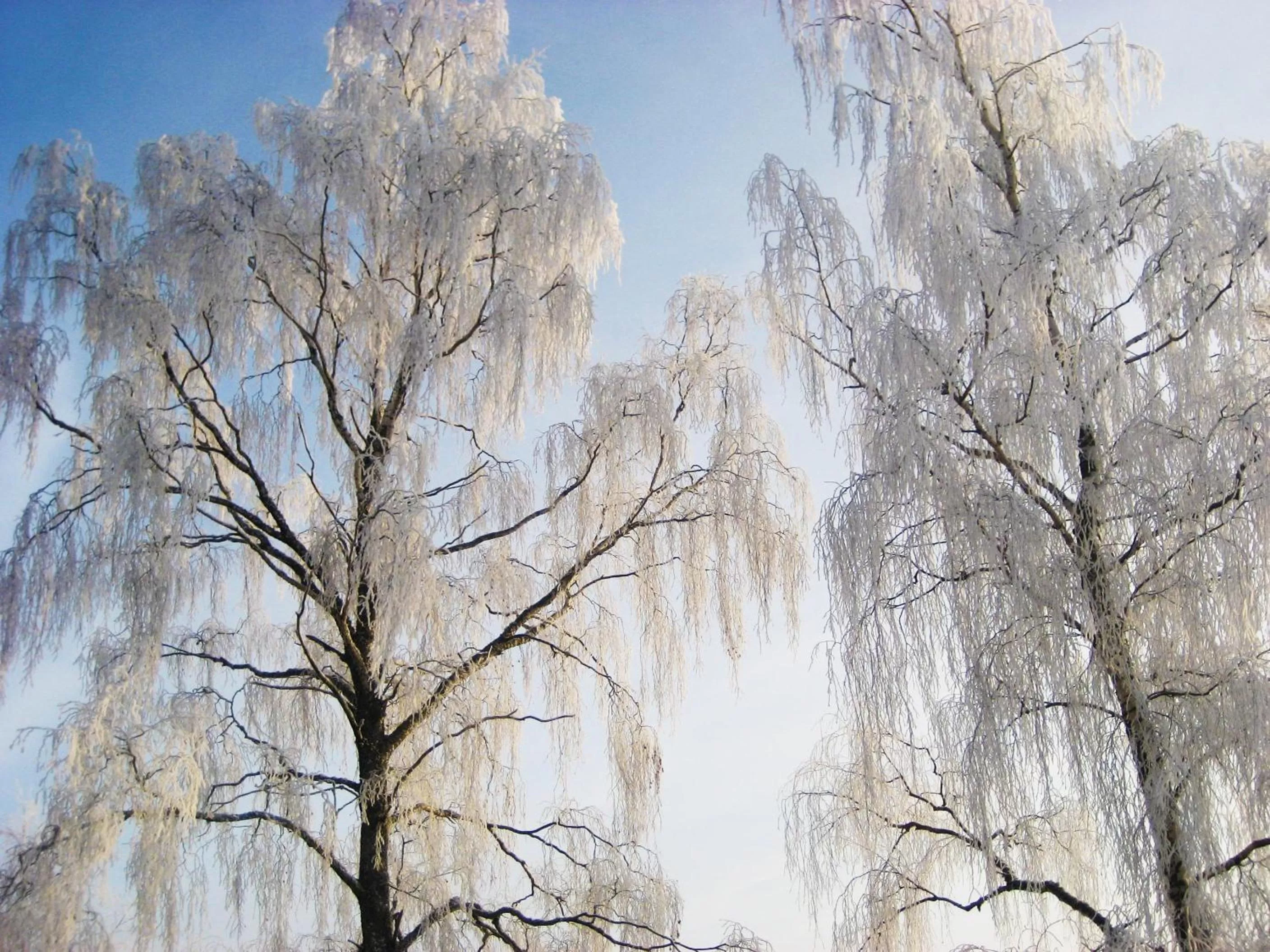 Other in Woodstock B&B & Studio Apartments