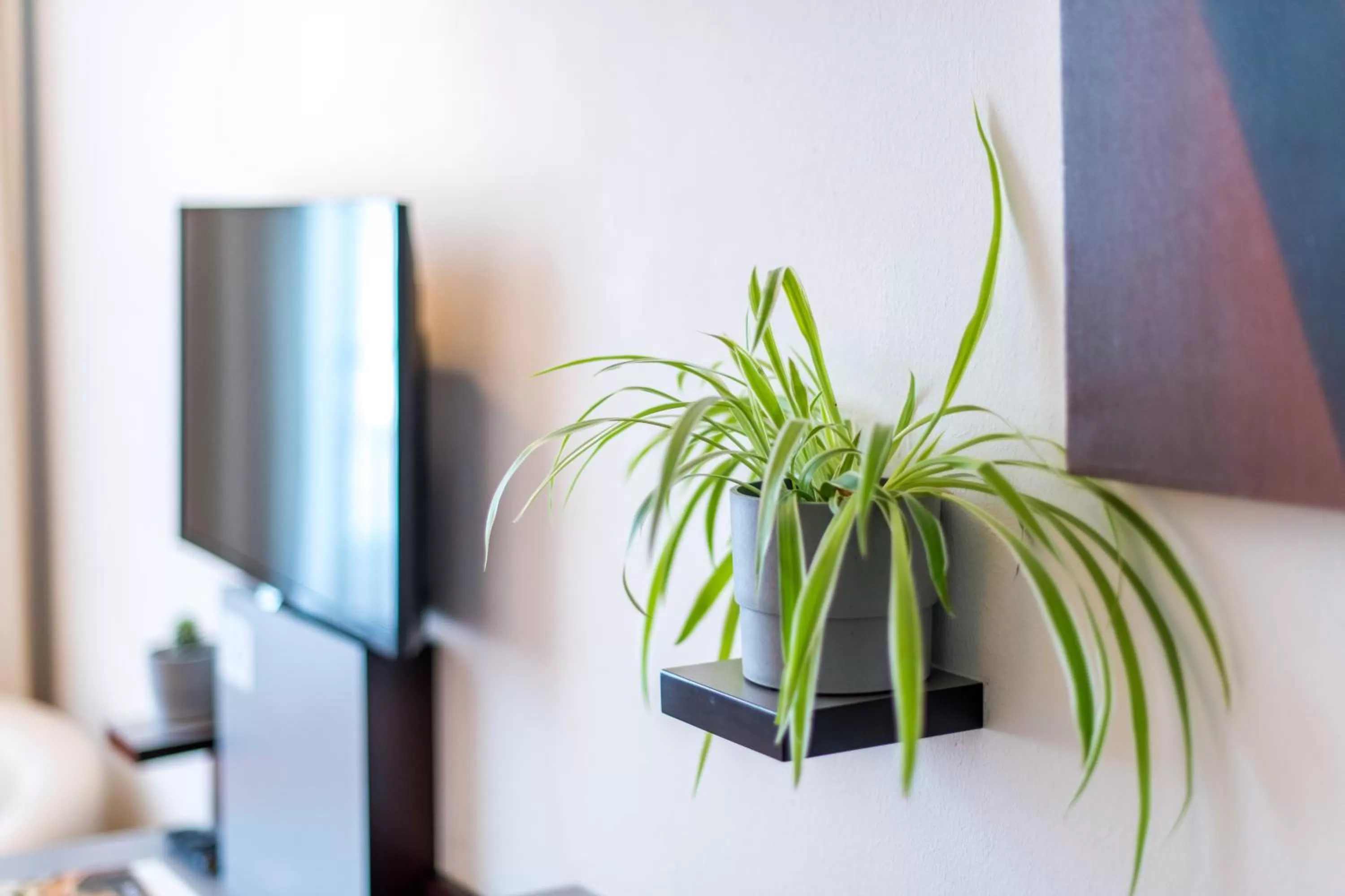 Decorative detail, TV/Entertainment Center in Hotel Stein - Schiller's Manufaktur