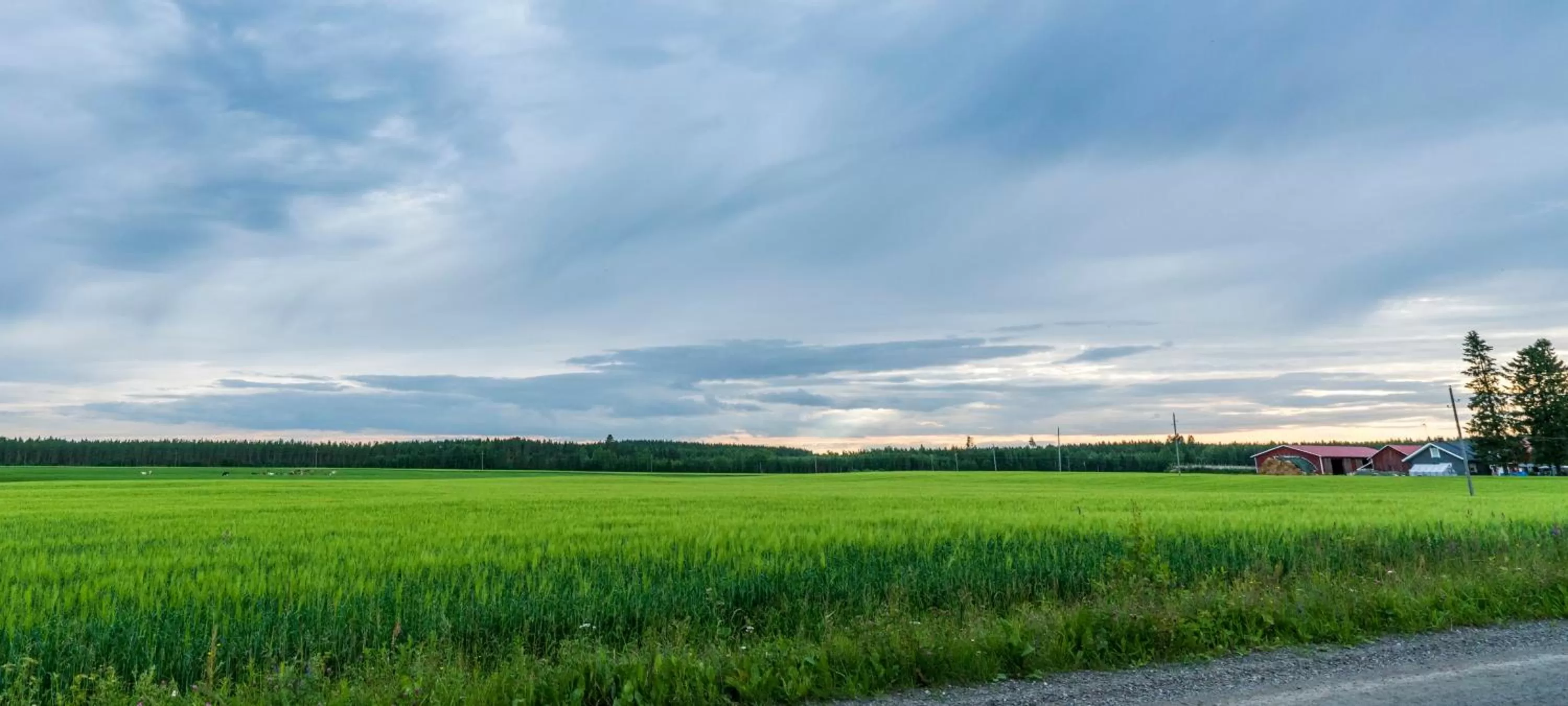 Natural Landscape in Minimotel