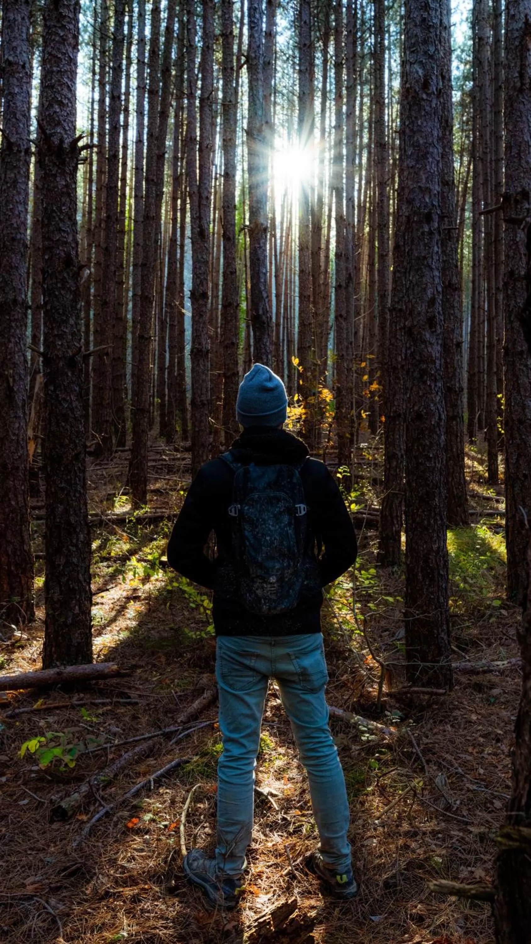 novanta nature retreat