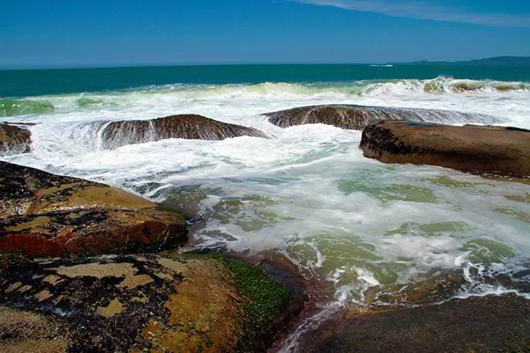 Natural landscape in Pousada OceAnas Frente Mar Estaleiro