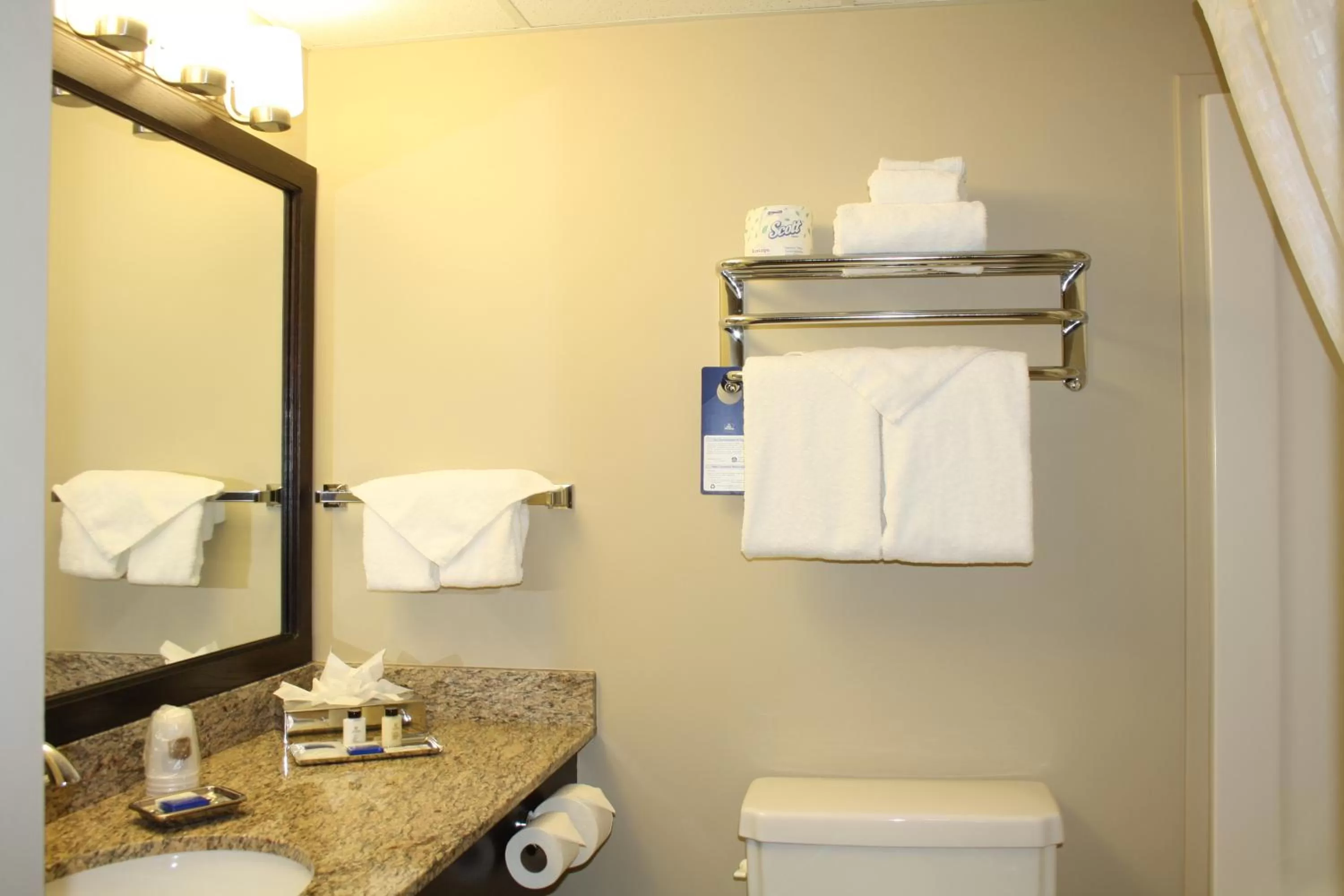 Bathroom in Best Western Rocky Mountain House Inn & Suites