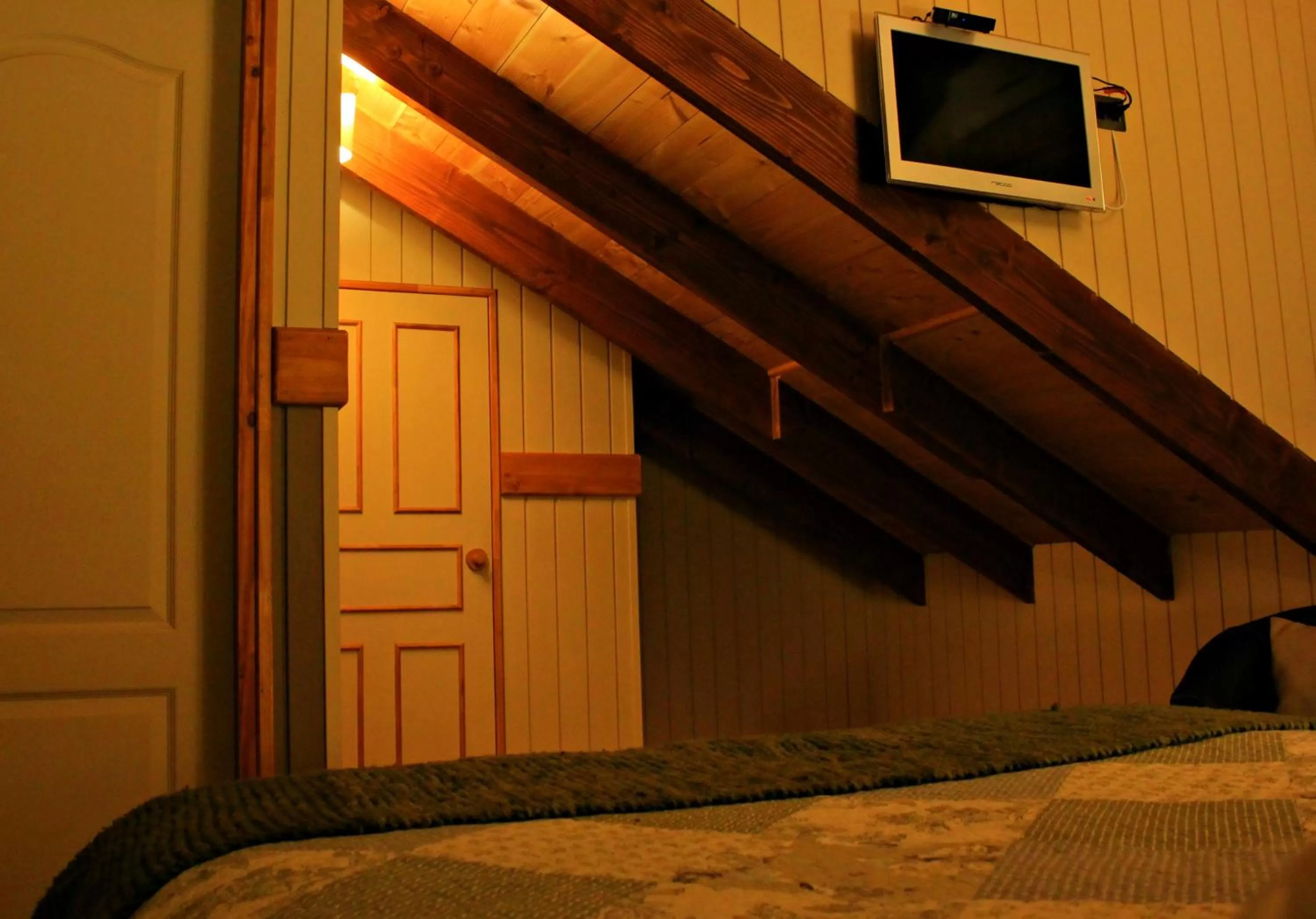 Decorative detail, Room Photo in Hotel Salto del Carileufu