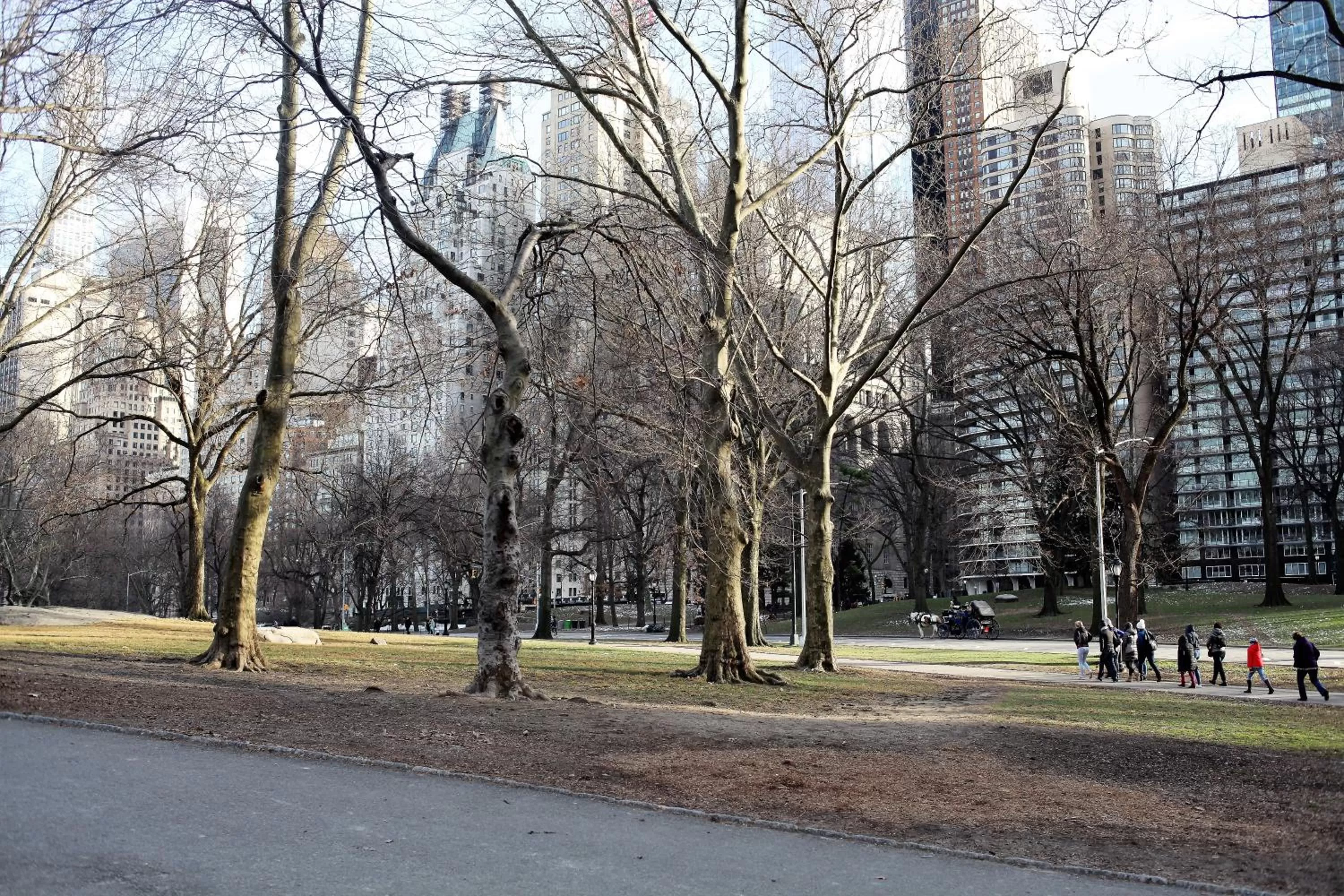 Neighbourhood in Carnegie Hotel