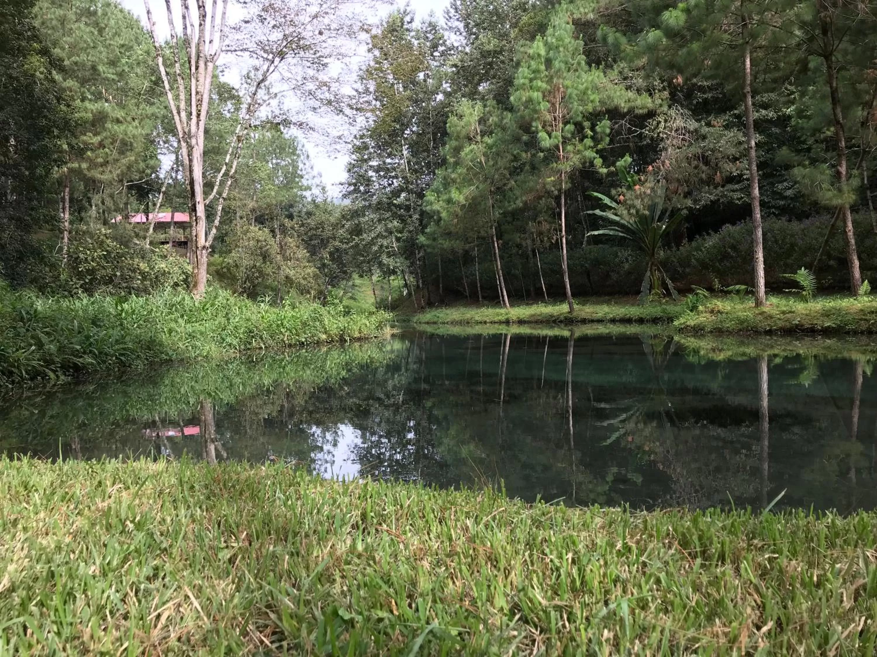 Fishing in Hotel en Finca Chijul, reserva natural privada