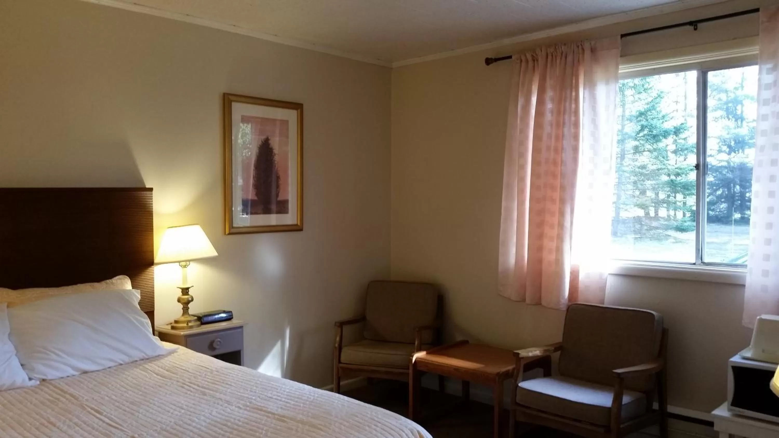 Day, Bed in Pinecone Motel