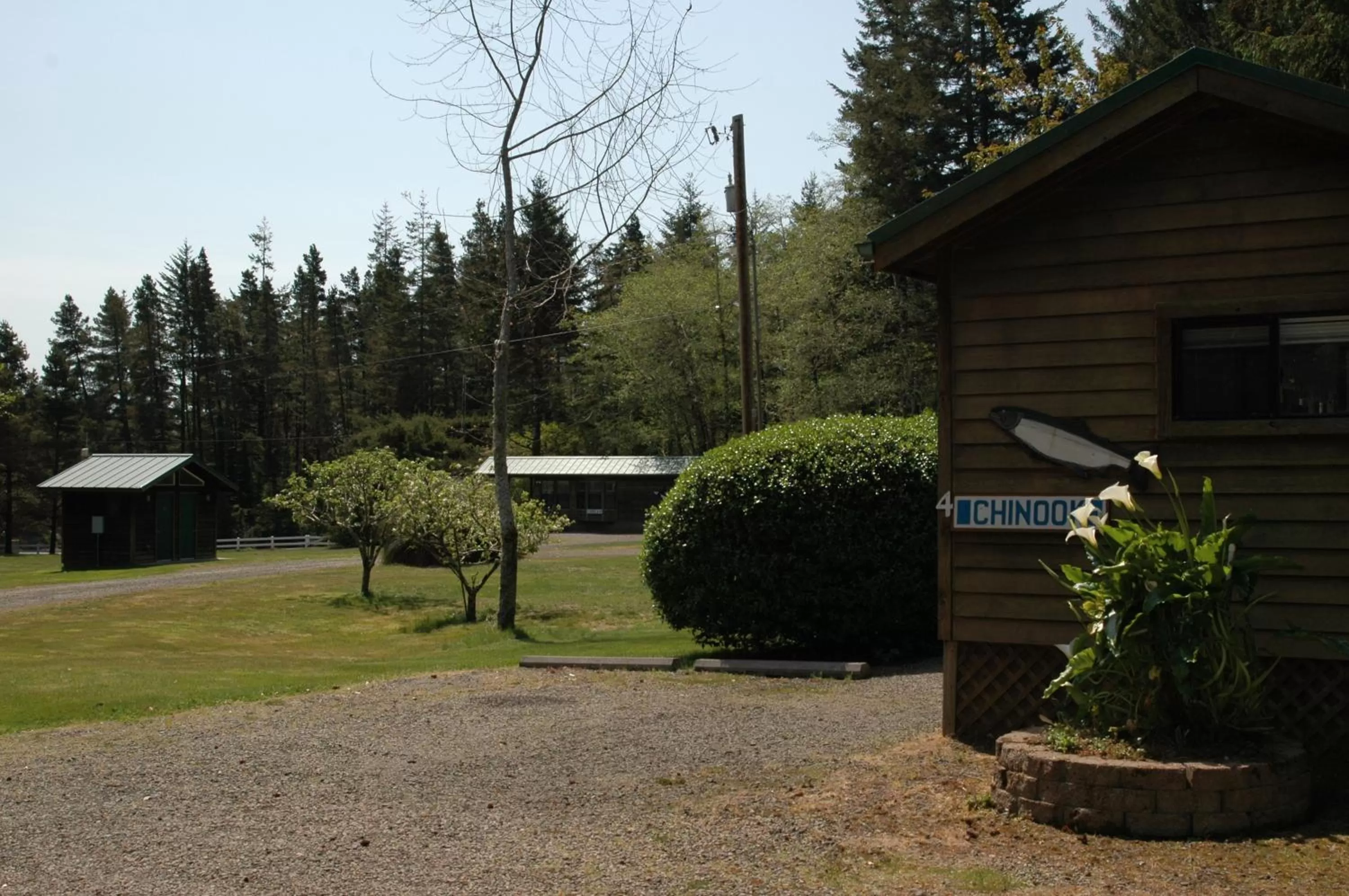 Park Motel and Cabins