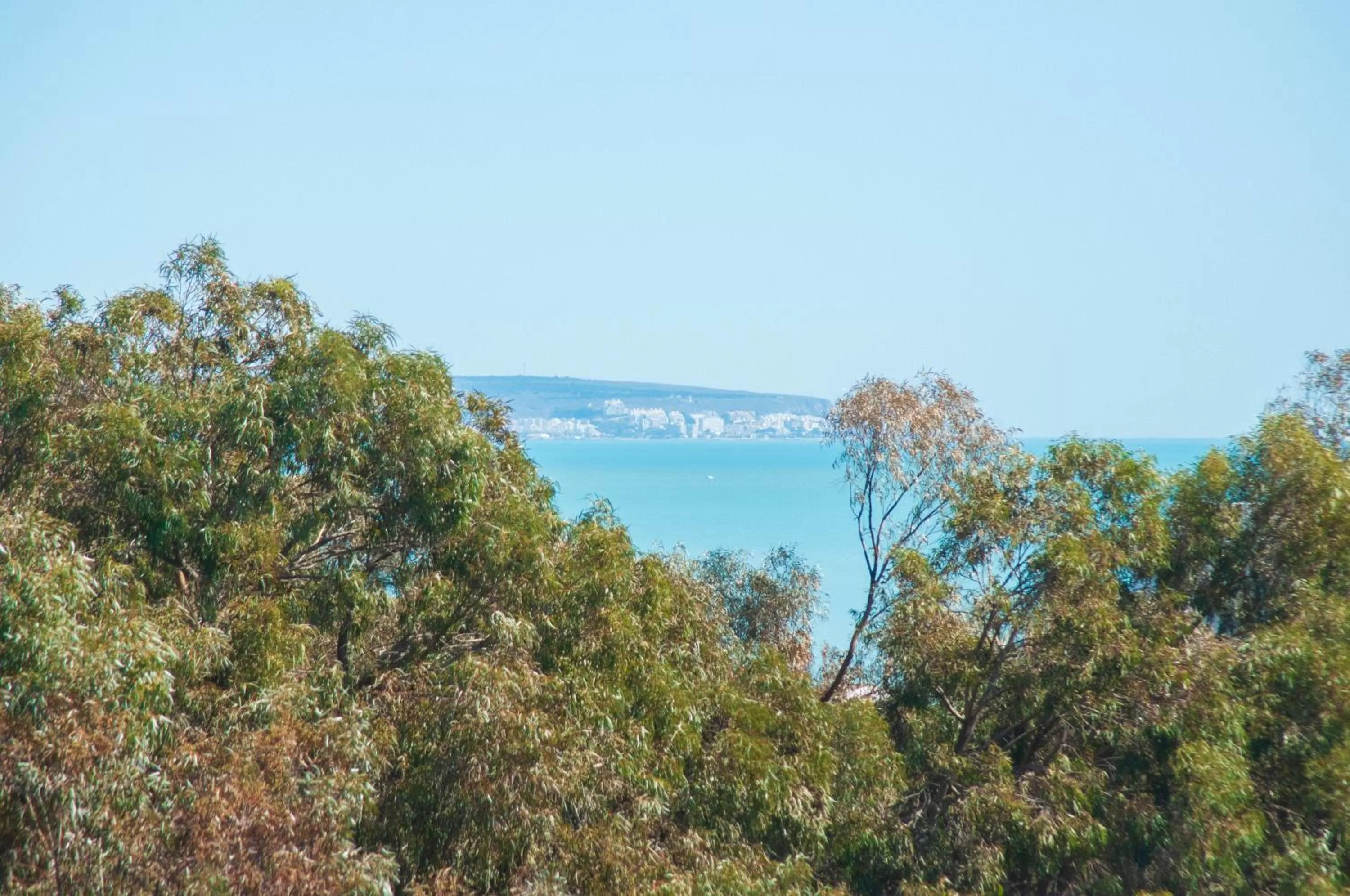 Sea view in Hotel ParqueMar