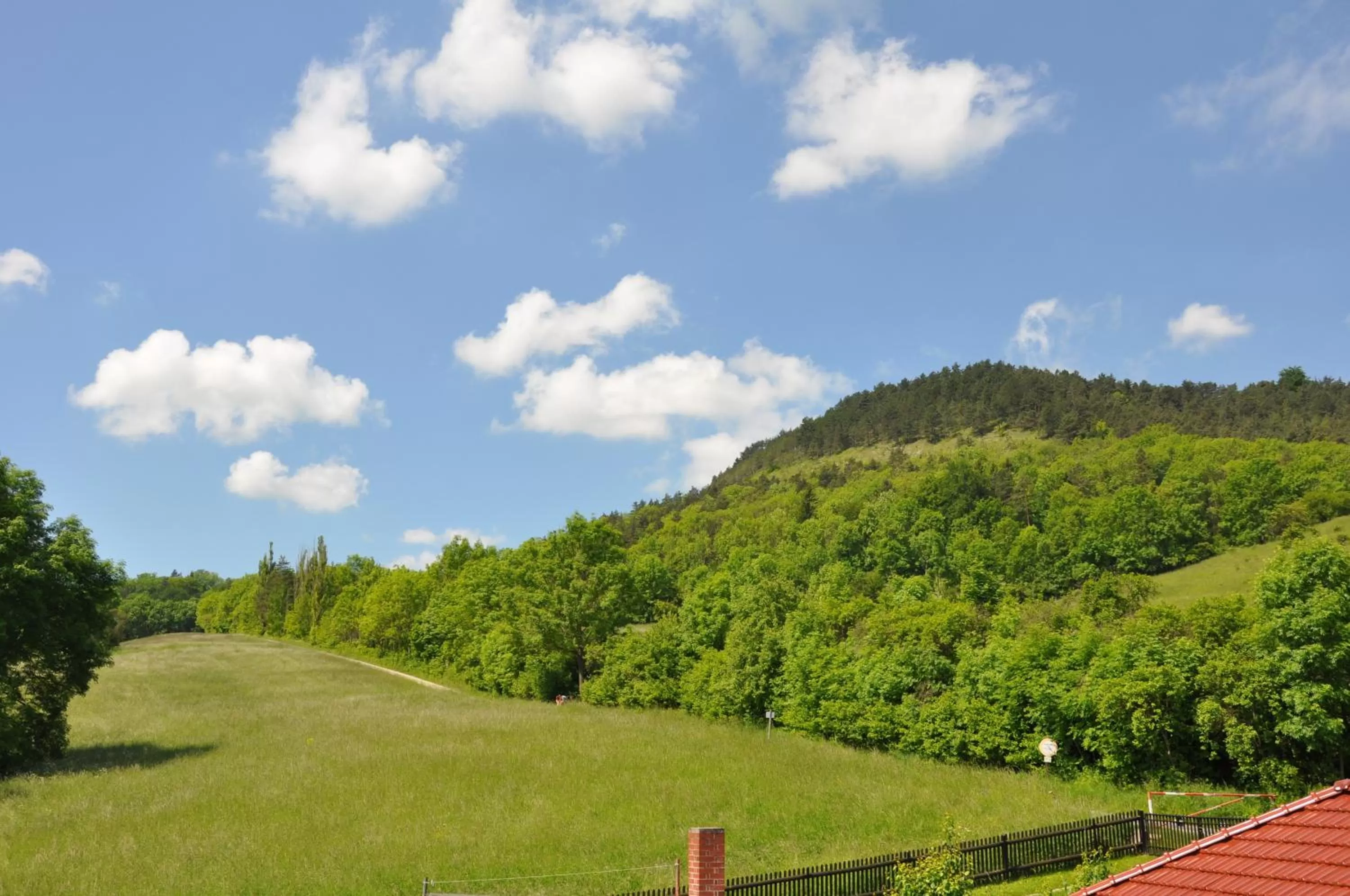 Natural landscape in Hotel Haus Orchideental Jena